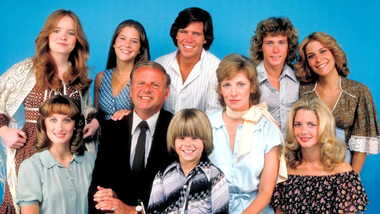 Eight Is Enough (1977) home theater movie art - The Popcorn Poster Store