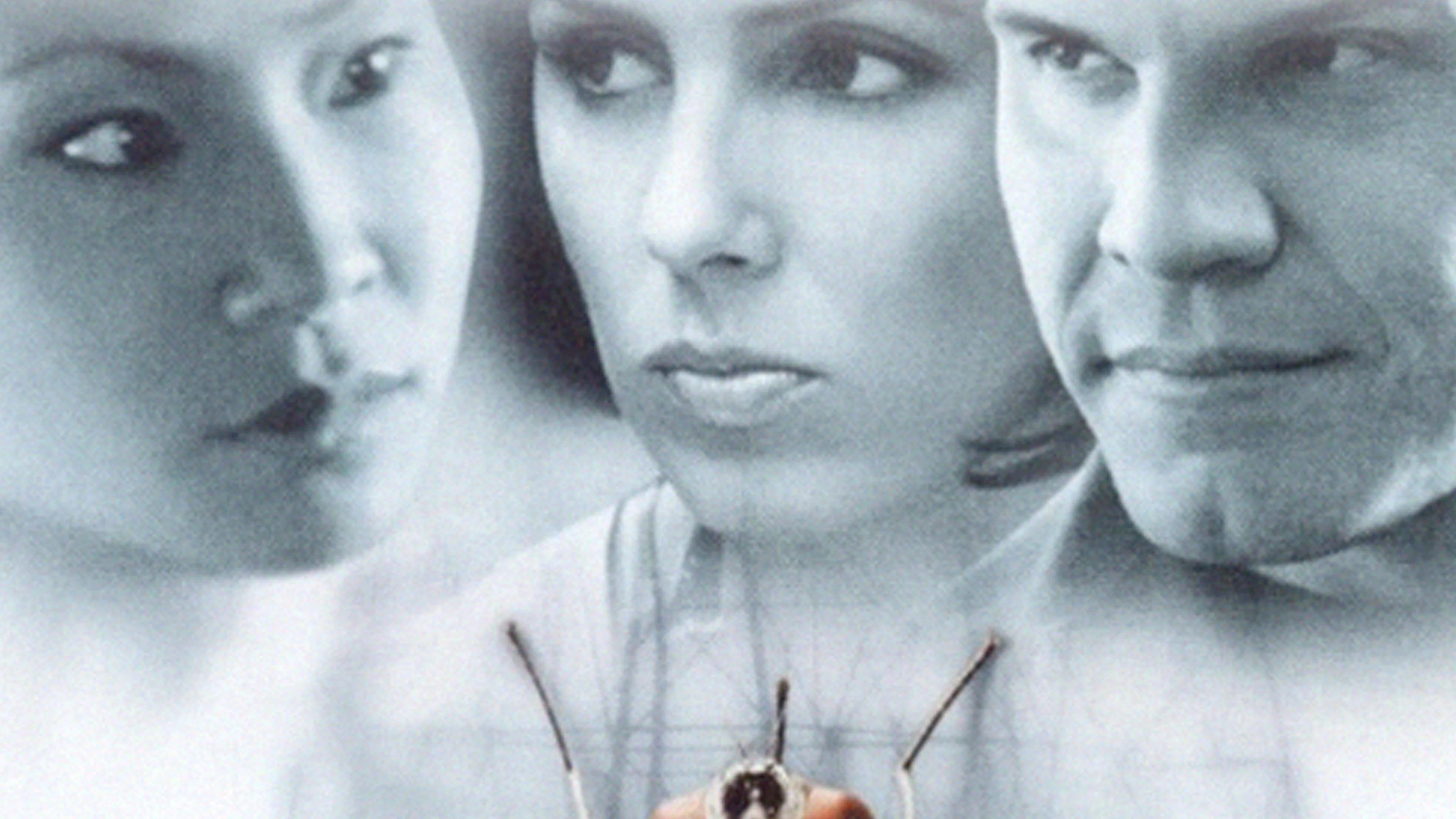 Flypaper (1999) home theater movie art - The Popcorn Poster Store