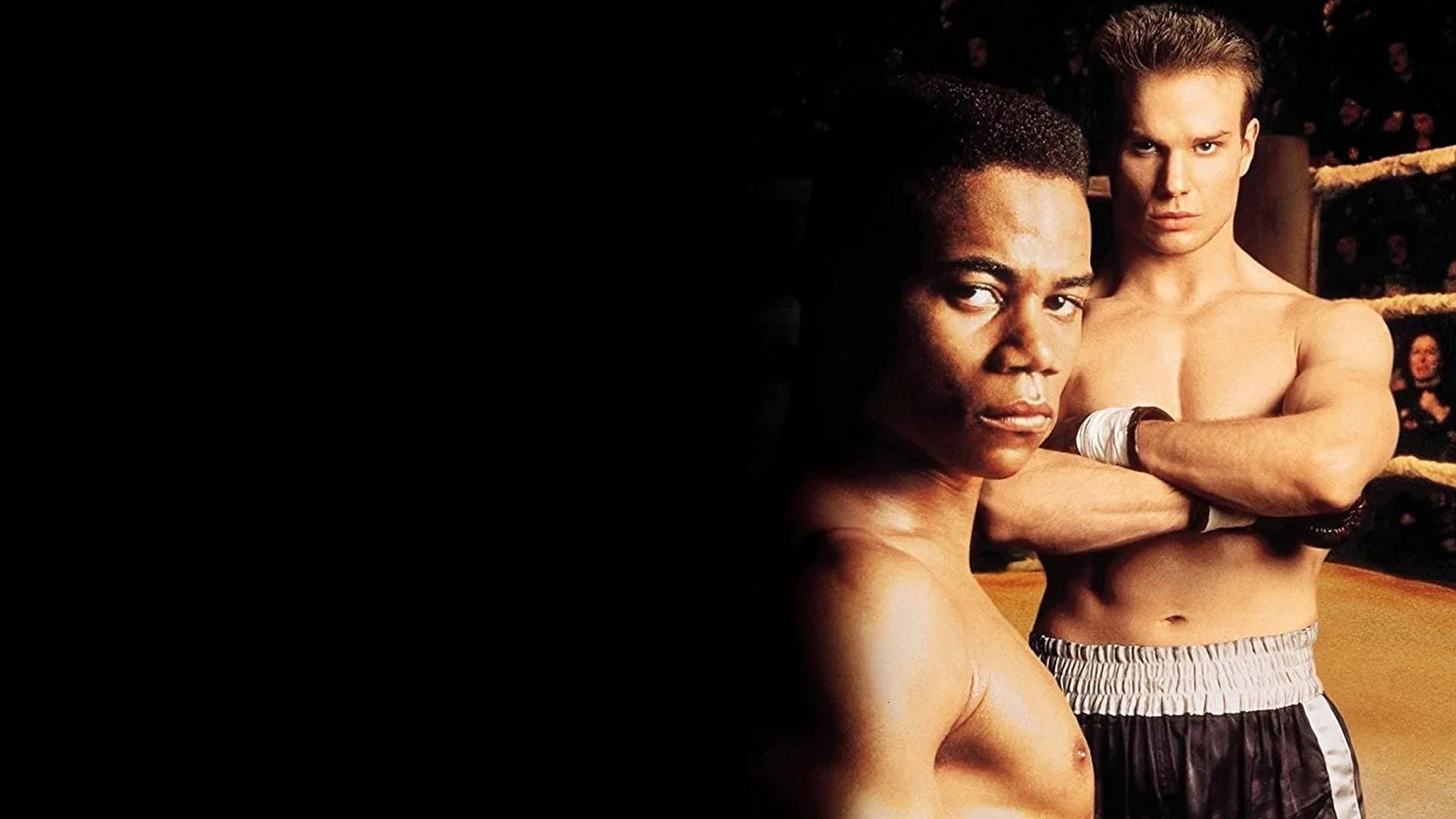 Gladiator (1992) home theater movie art - The Popcorn Poster Store