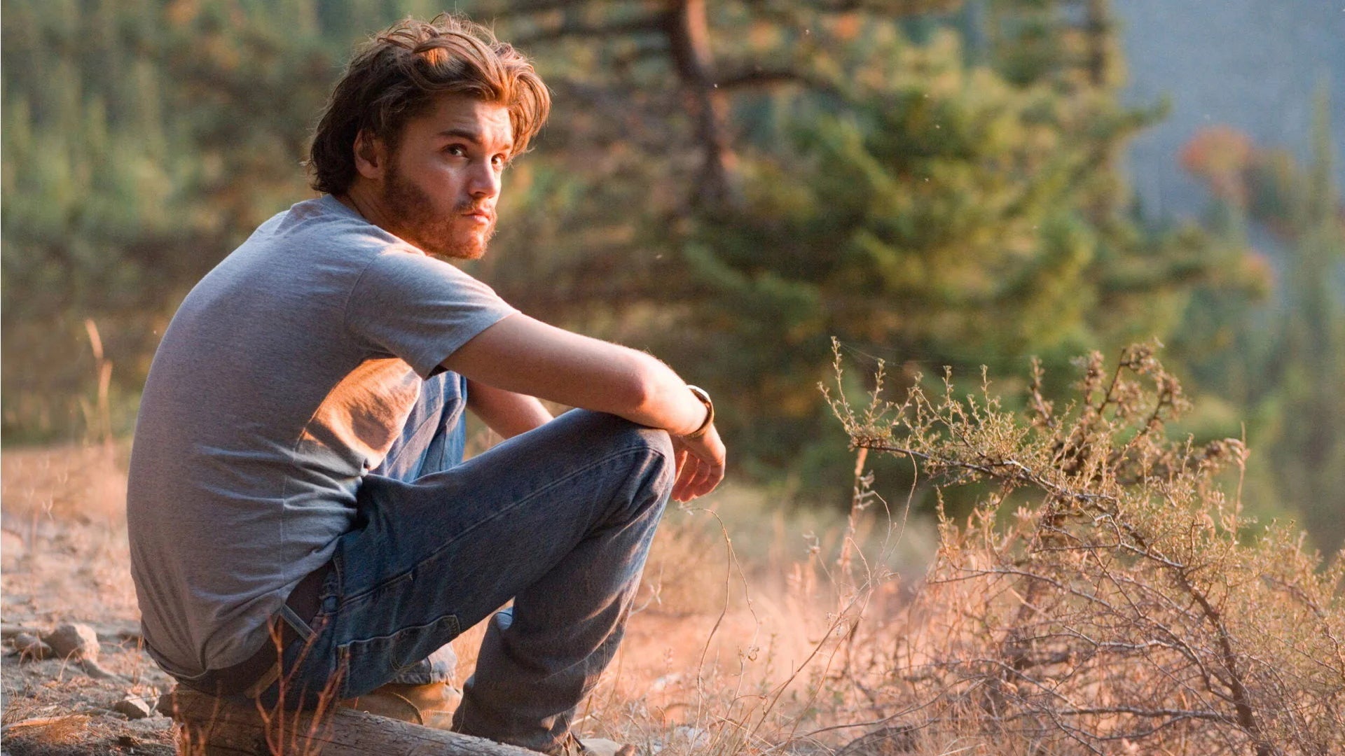 Into the Wild (2007) home theater movie art - The Popcorn Poster Store