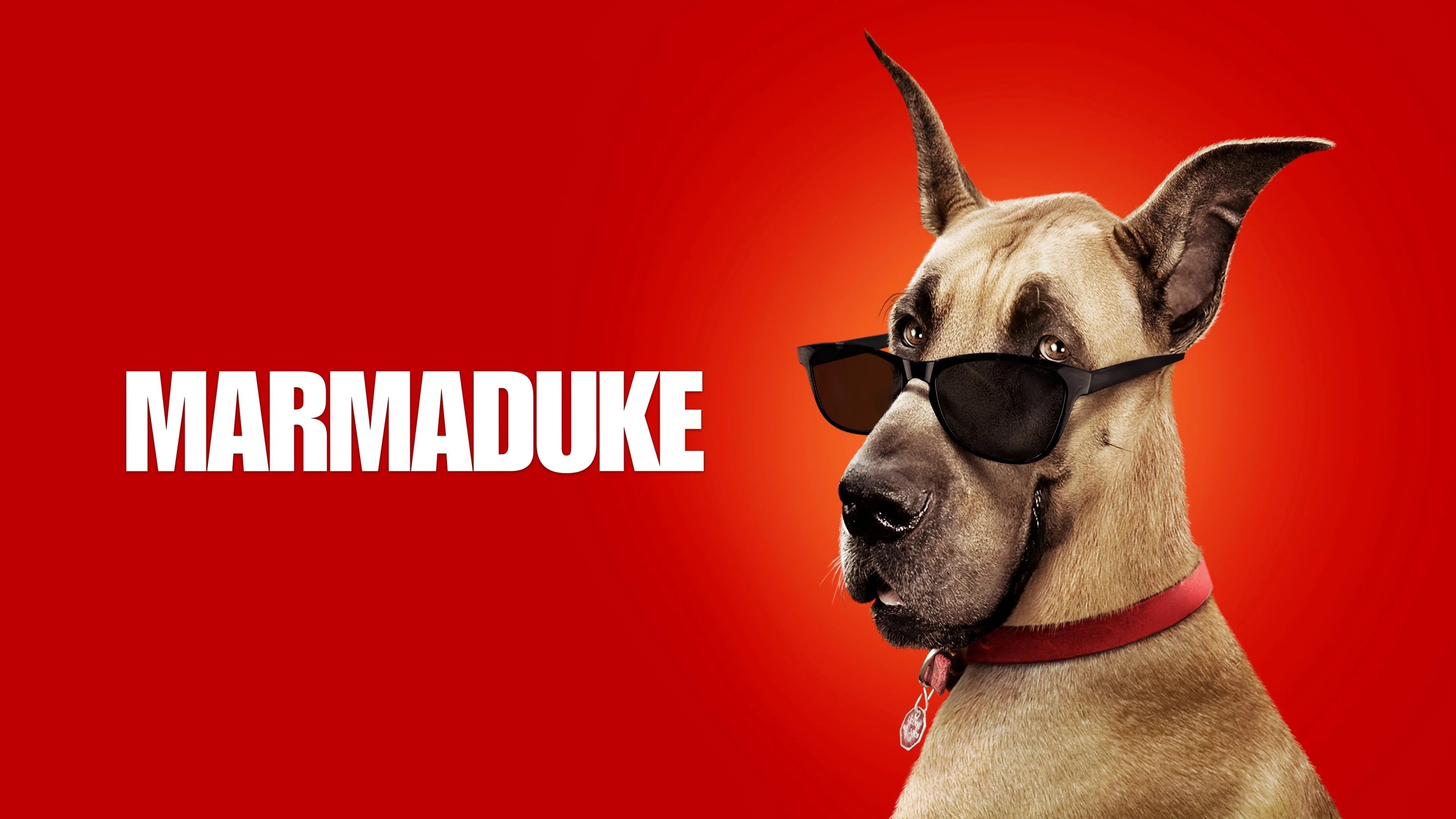 Marmaduke (2010) home theater movie art - The Popcorn Poster Store
