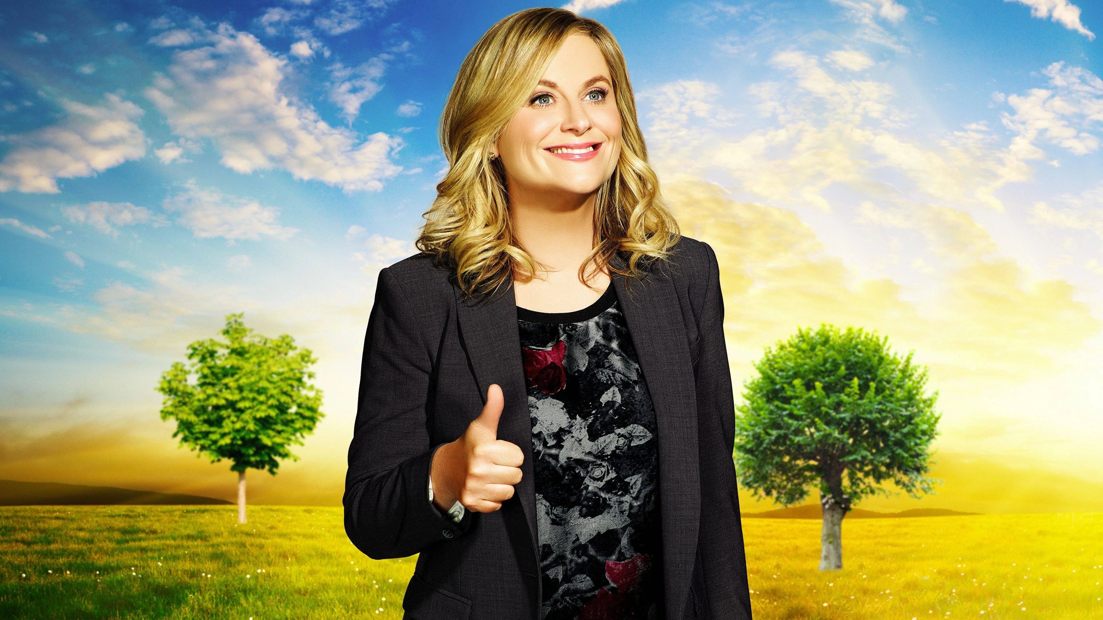 Parks and Recreation (2009) home theater movie art - The Popcorn Poster Store