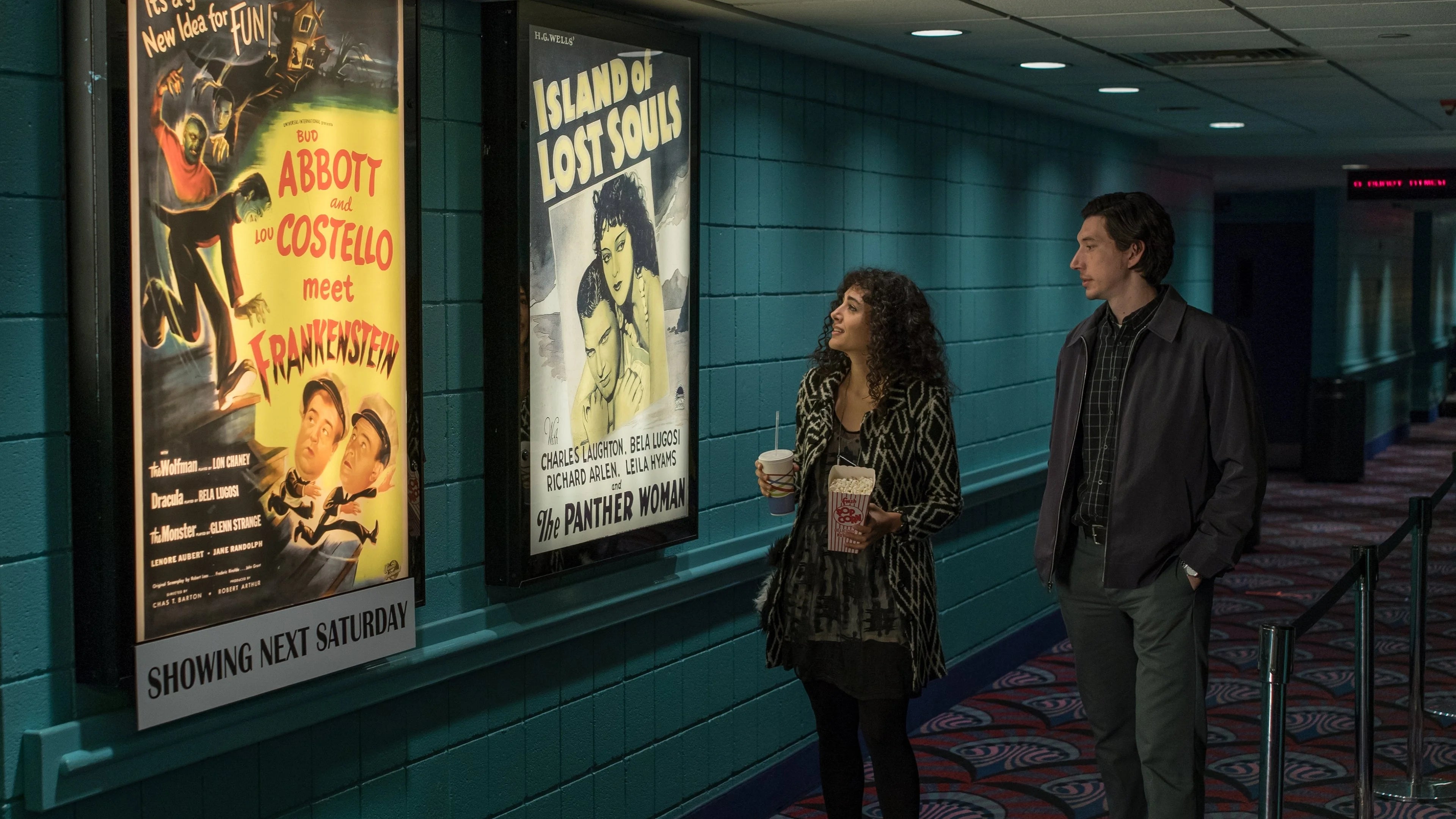 Paterson (2016) home theater movie art - The Popcorn Poster Store