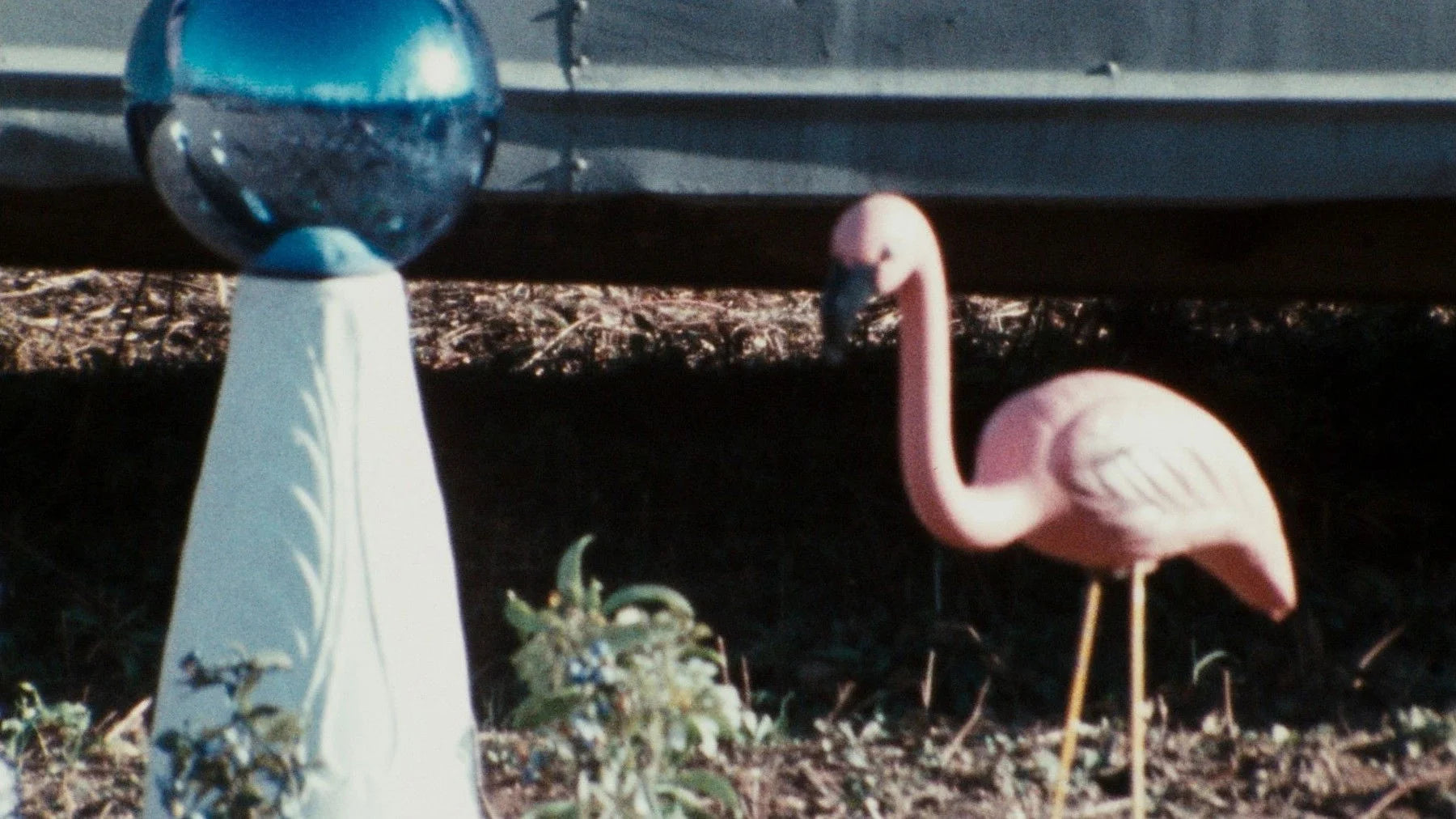 Pink Flamingos (1972) home theater movie art - The Popcorn Poster Store