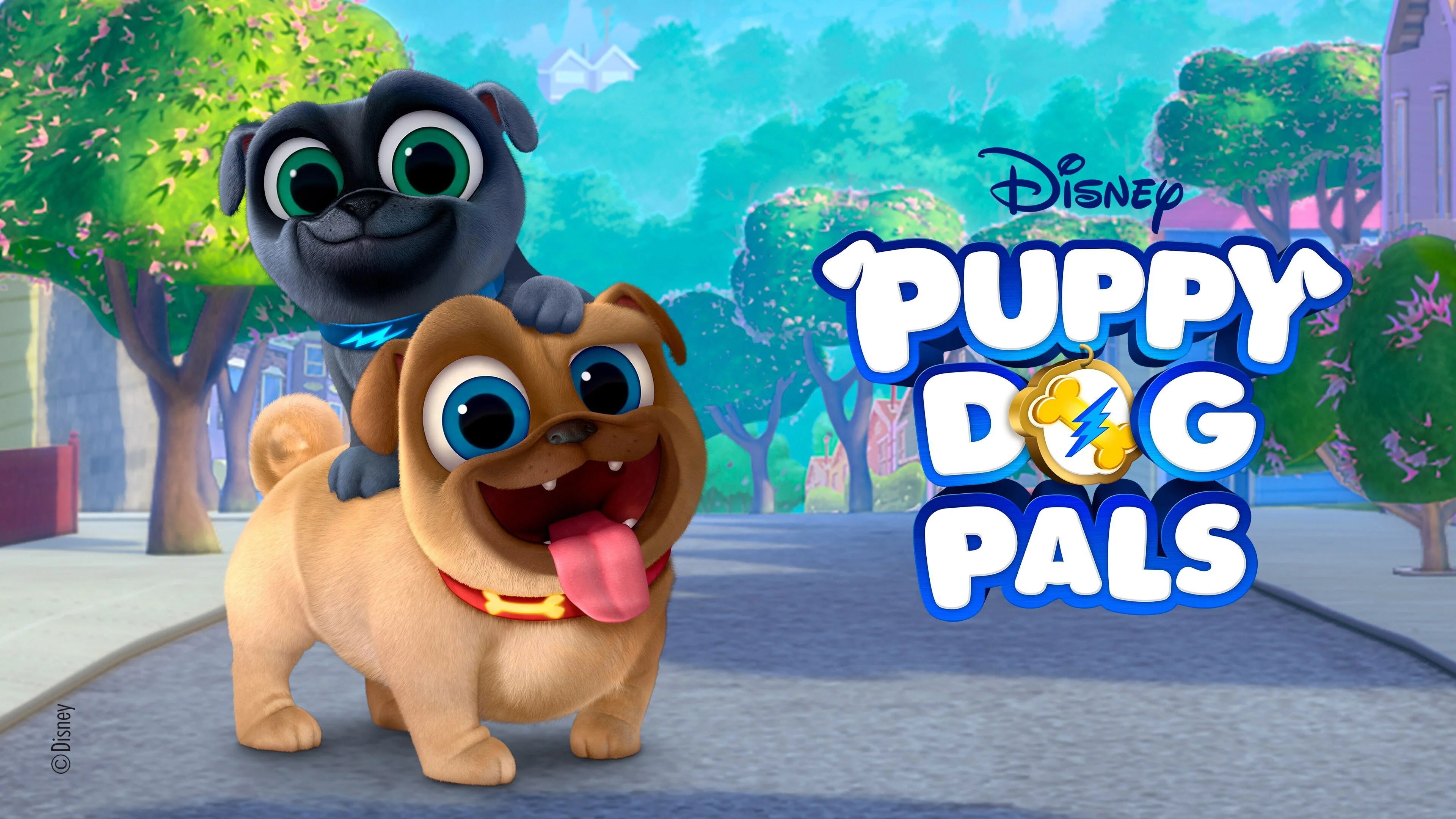 Puppy Dog Pals (2017) home theater movie art - The Popcorn Poster Store