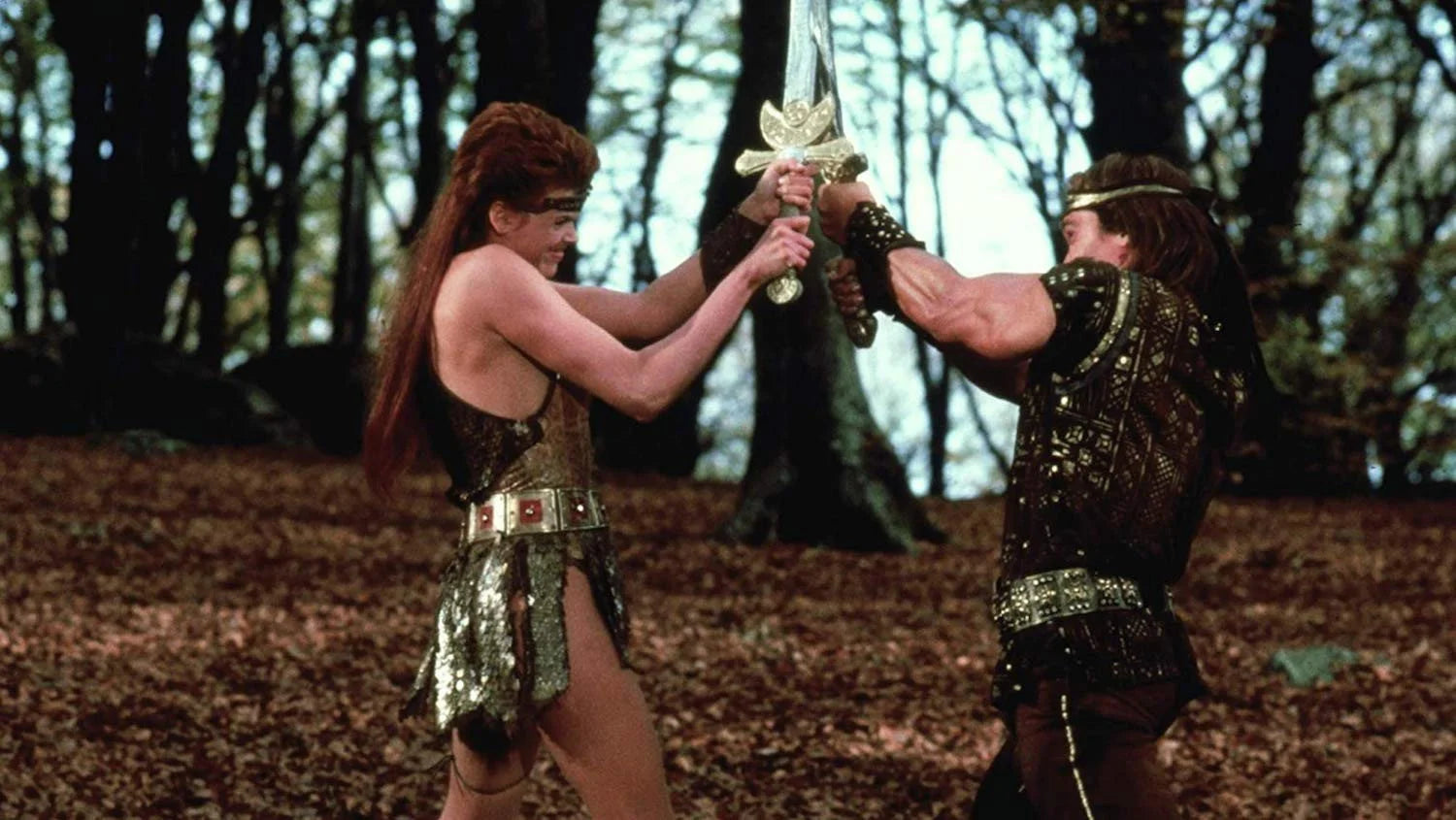 Red Sonja (1985) home theater movie art - The Popcorn Poster Store