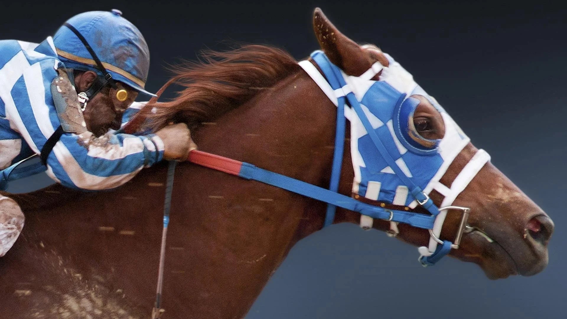 Secretariat (2010) home theater movie art - The Popcorn Poster Store