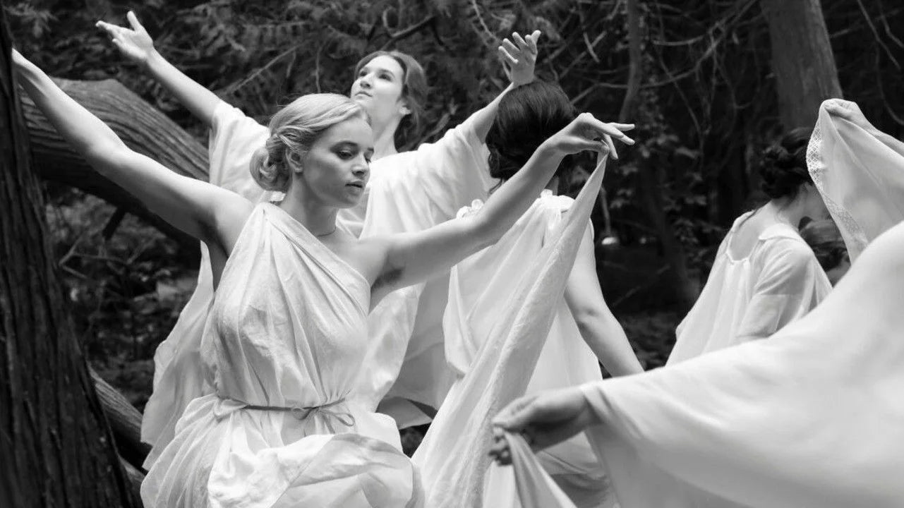 Silent Friend (2026) home theater movie art - The Popcorn Poster Store