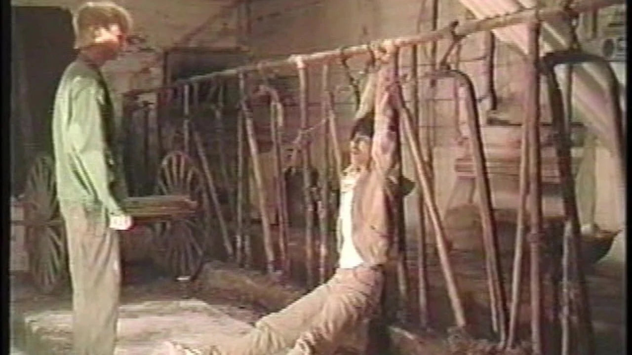 Splatter Farm (1987) home theater movie art - The Popcorn Poster Store