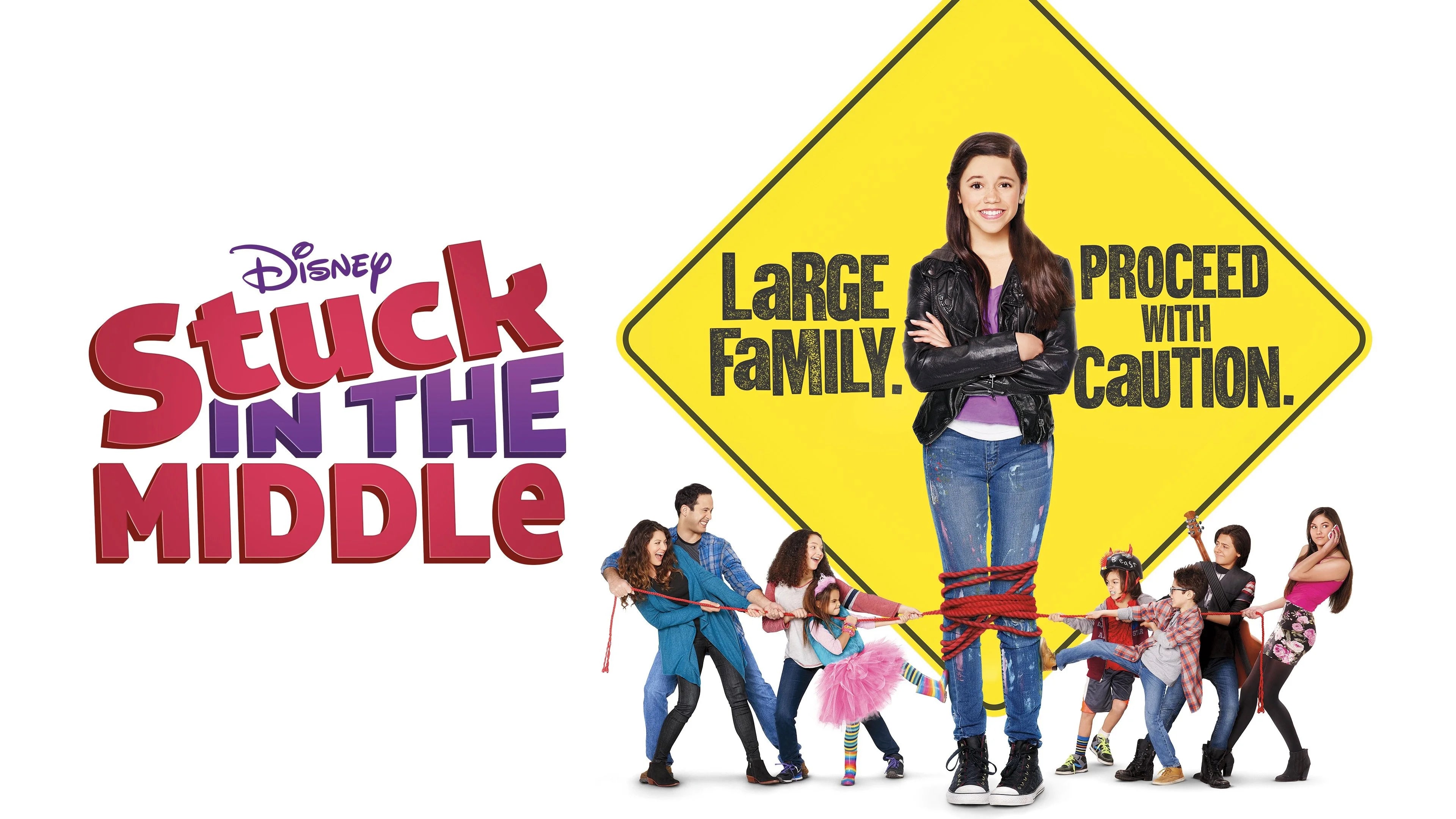 Stuck in the Middle (2016) home theater movie art - The Popcorn Poster Store