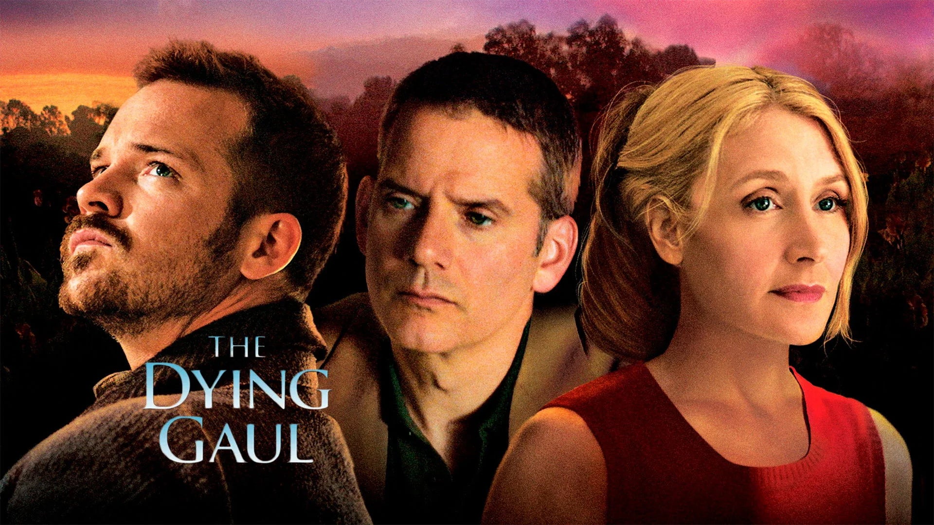 The Dying Gaul (2005) home theater movie art - The Popcorn Poster Store