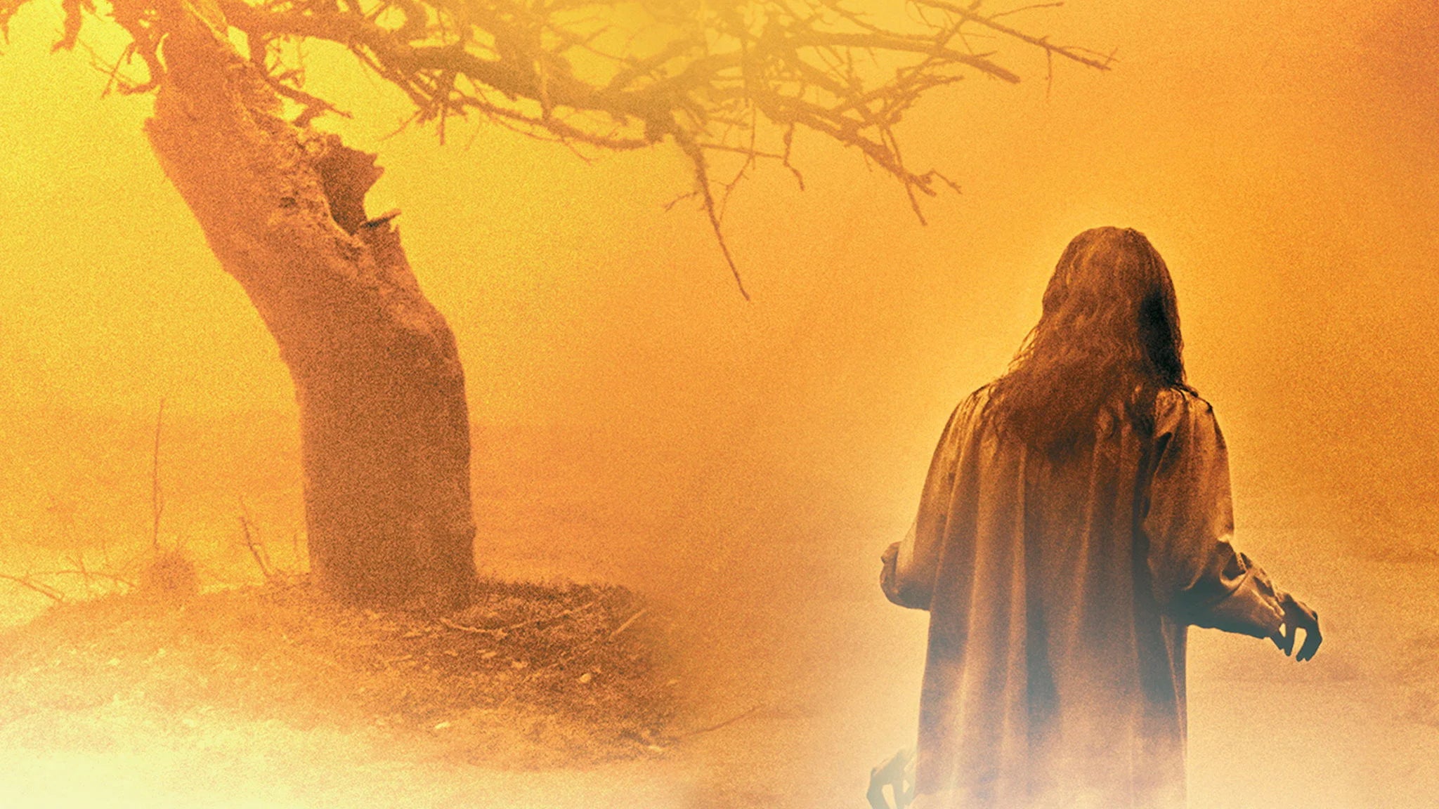 The Exorcism of Emily Rose (2005) home theater movie art - The Popcorn Poster Store