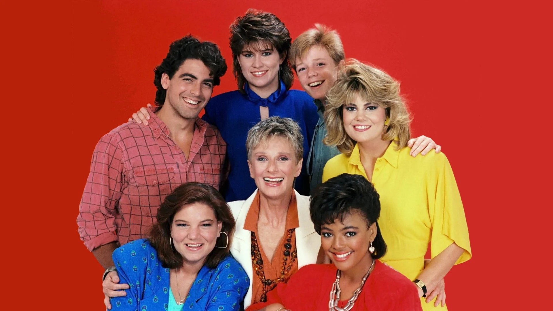 The Facts of Life (1979) home theater movie art - The Popcorn Poster Store