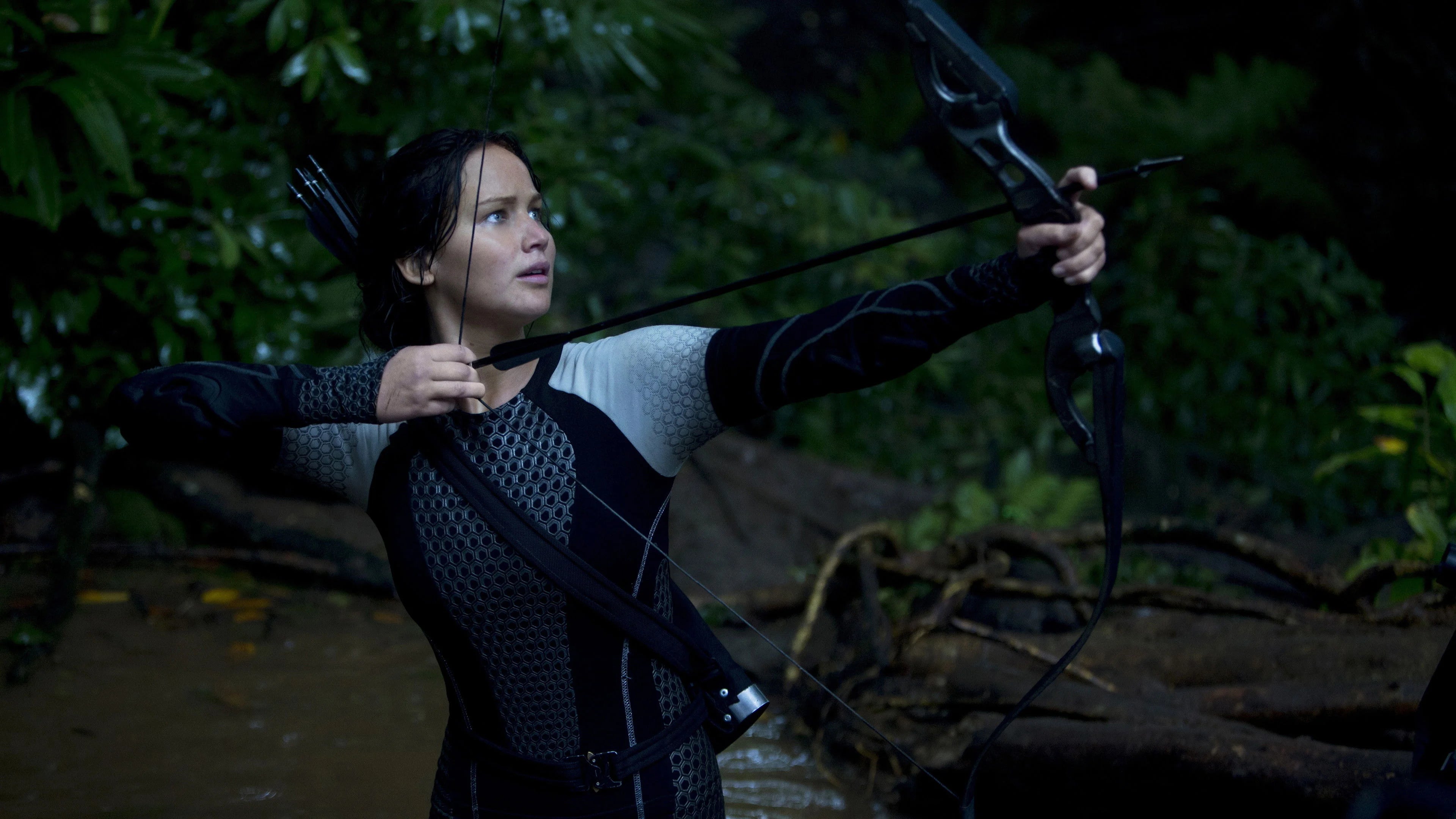 The Hunger Games Catching Fire (2013) home theater movie art - The Popcorn Poster Store