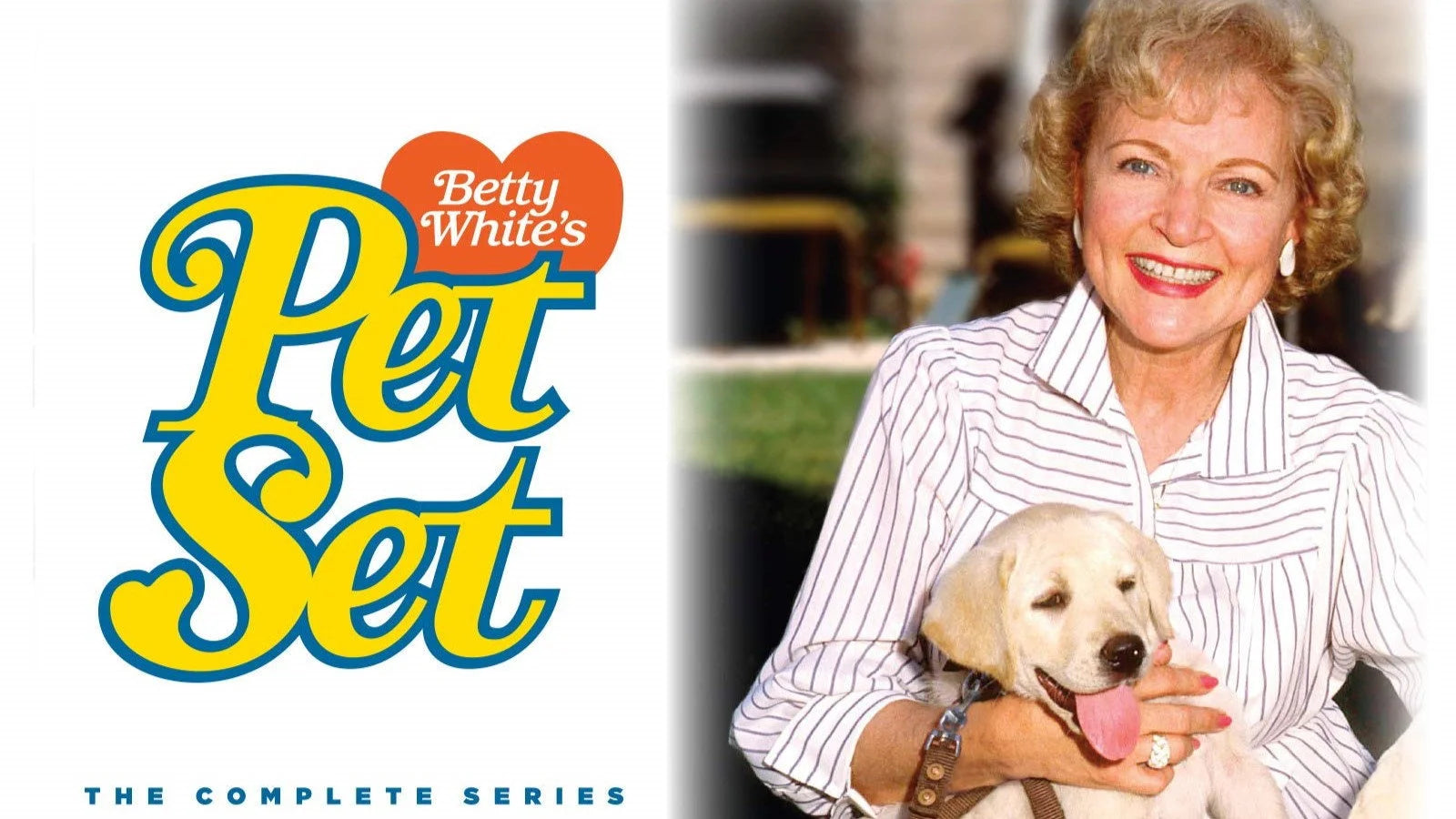 The Pet Set (1971) home theater movie art - The Popcorn Poster Store