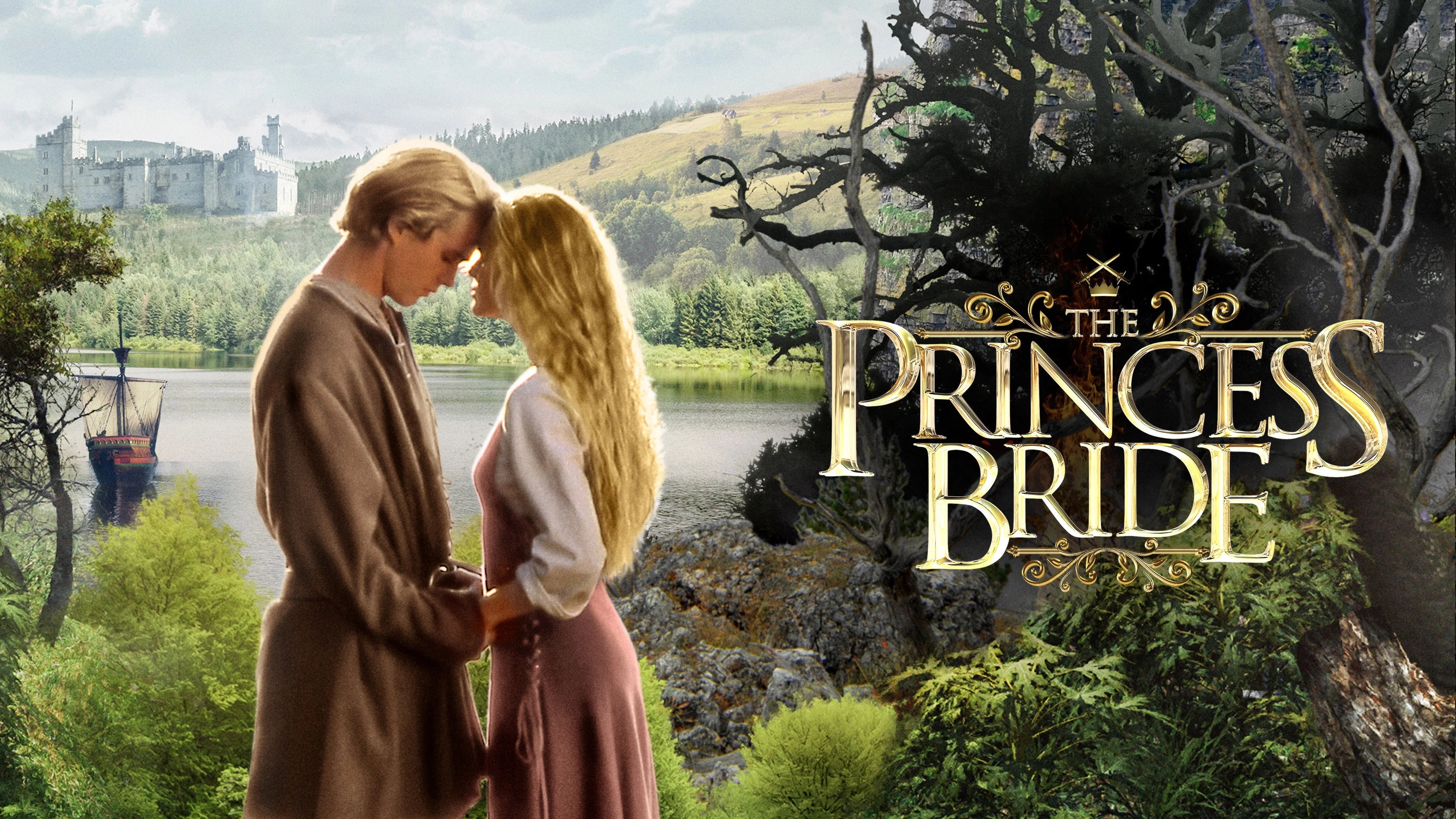 The Princess Bride (1987) home theater movie art - The Popcorn Poster Store