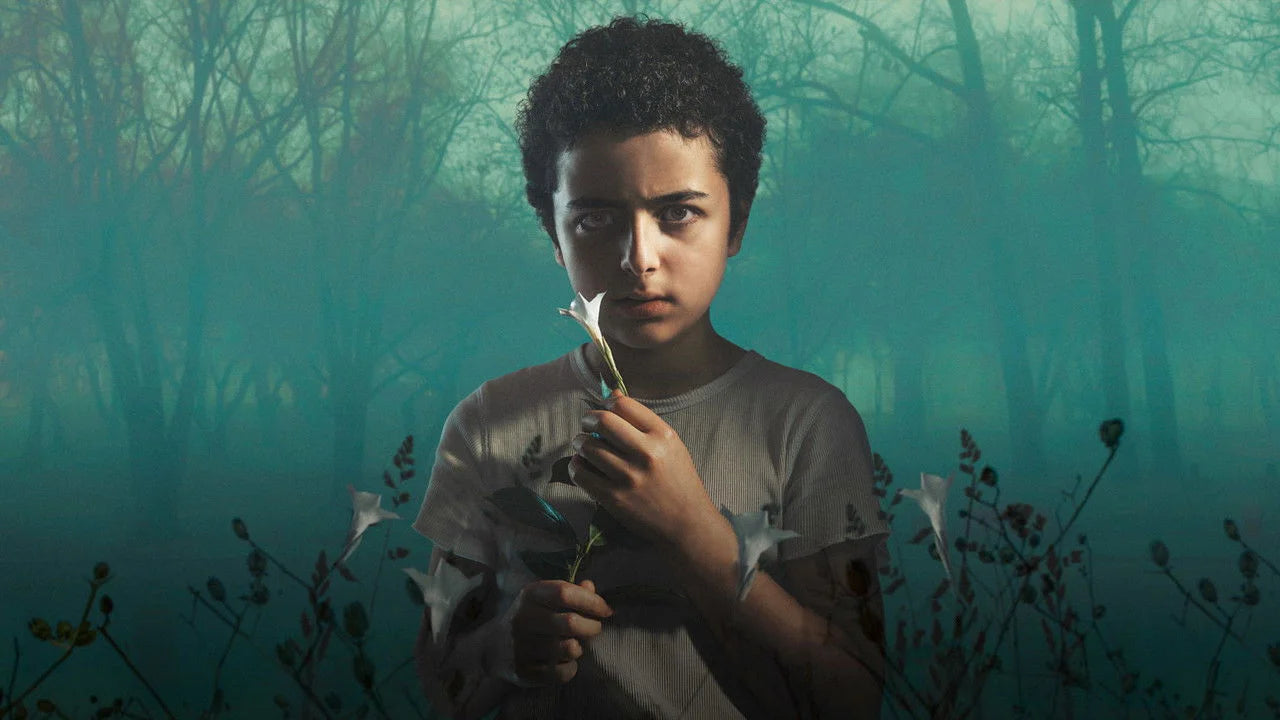 The Sinner (2017) home theater movie art - The Popcorn Poster Store