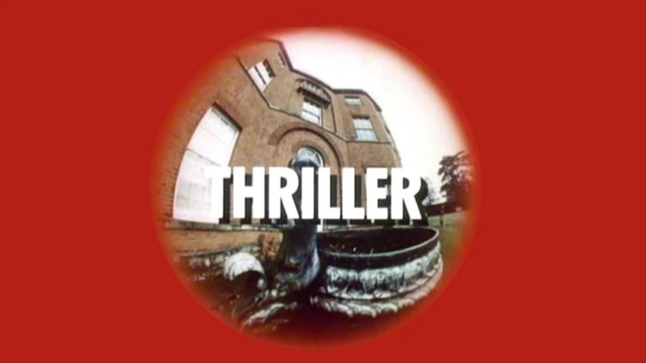 Thriller (1973) home theater movie art - The Popcorn Poster Store