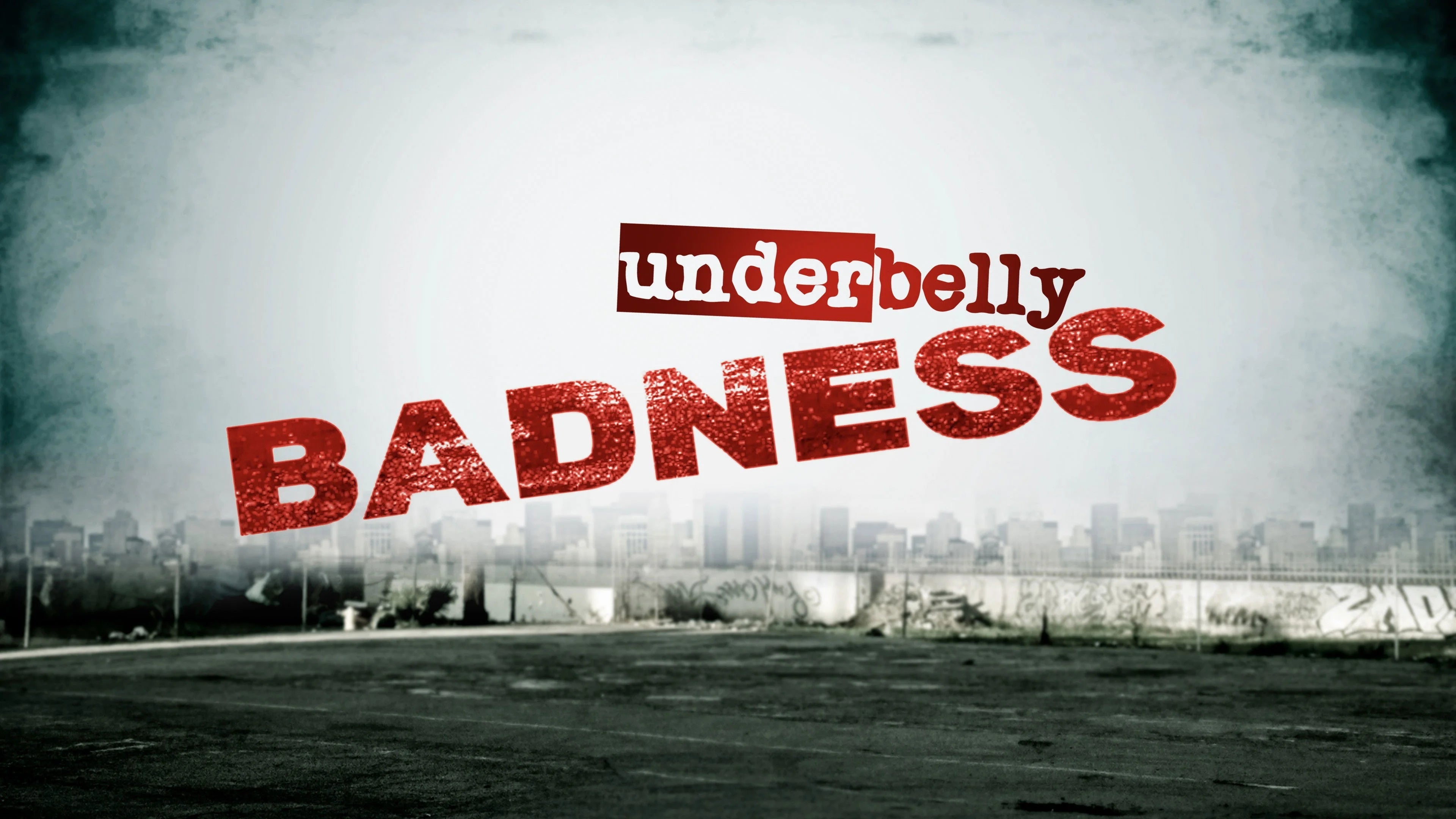Underbelly (2008) home theater movie art - The Popcorn Poster Store