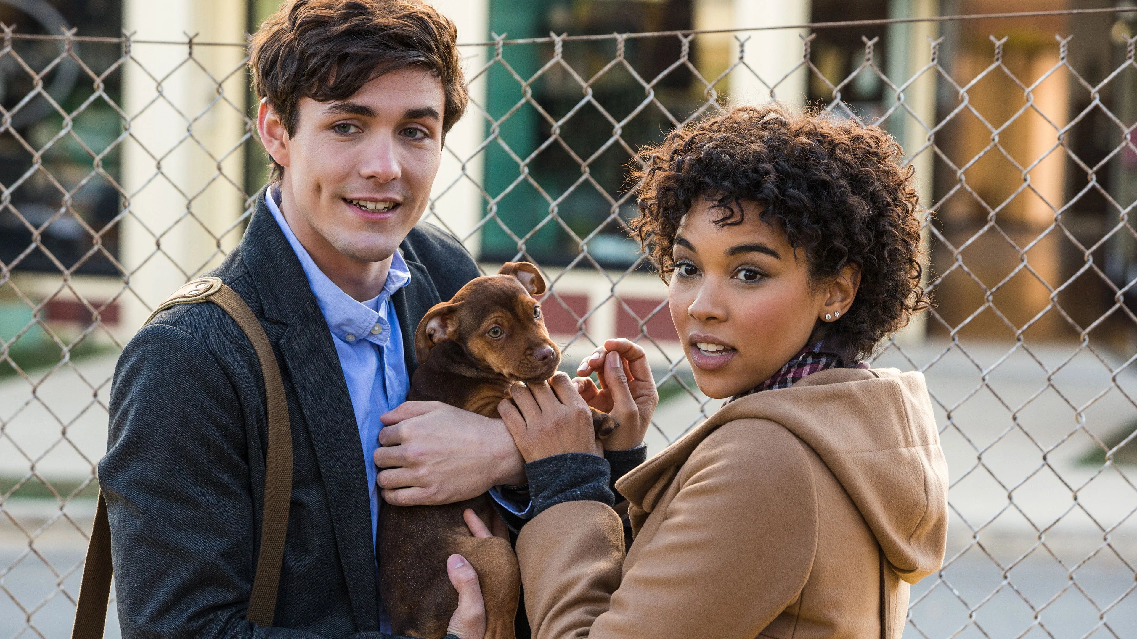 Perfect A Dog's Way Home (2019) Man Cave wall filler - Popcorn Poster Gallery