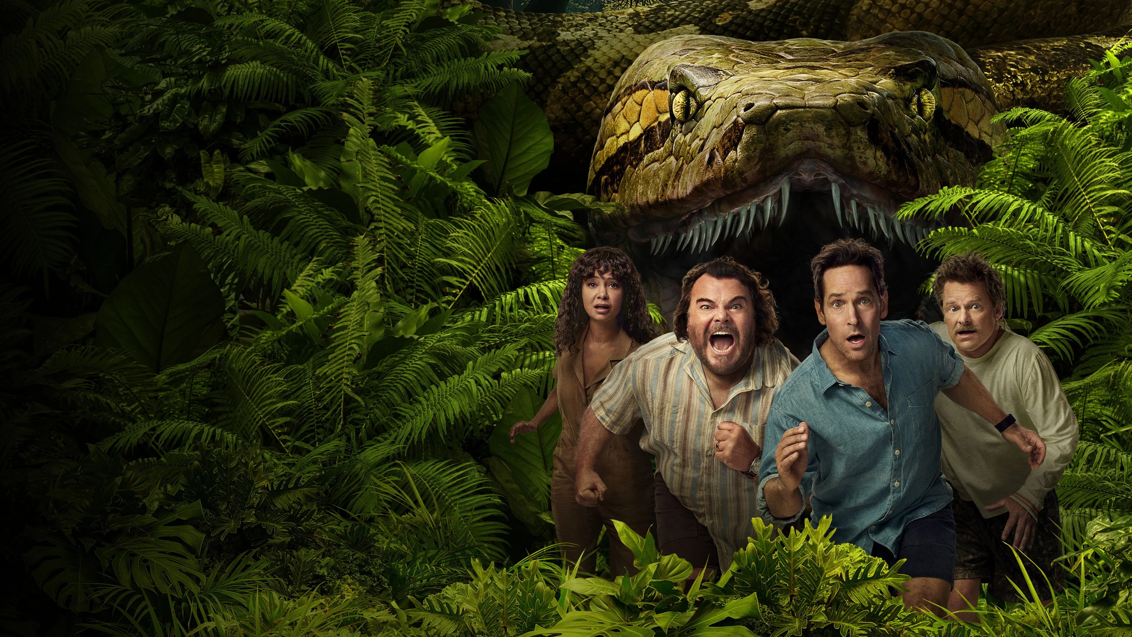 Perfect Anaconda (2025) Man Cave wall filler - Popcorn Poster Gallery