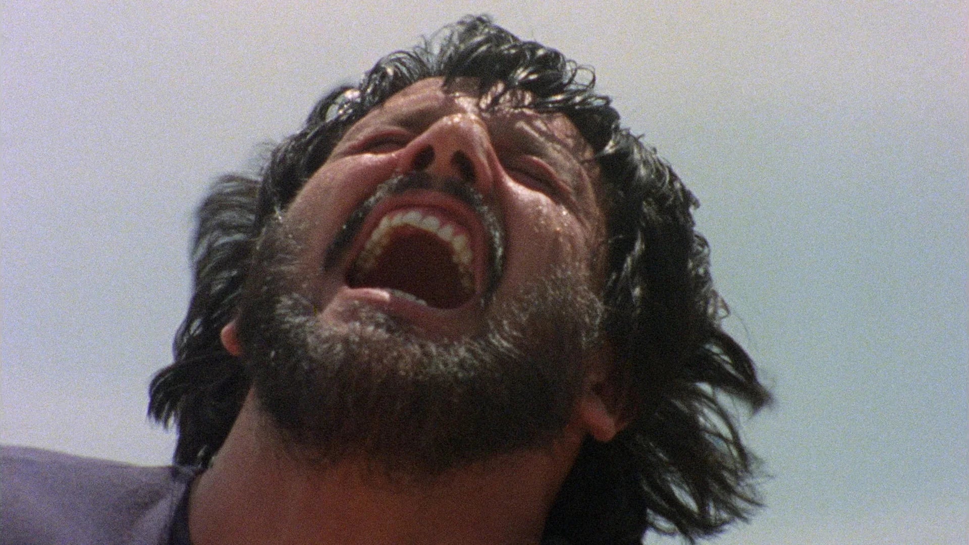 Perfect Anthropophagous (1980) Man Cave wall filler - Popcorn Poster Gallery