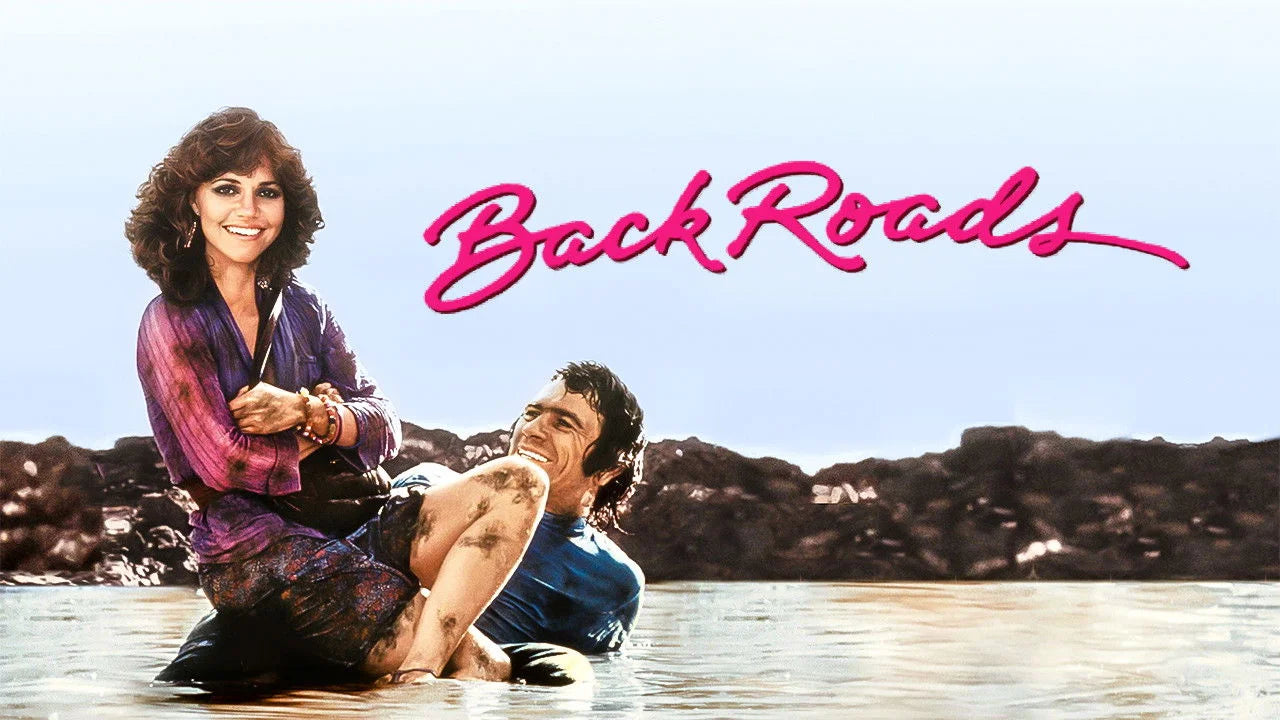Perfect Back Roads (1981) Man Cave wall filler - Popcorn Poster Gallery
