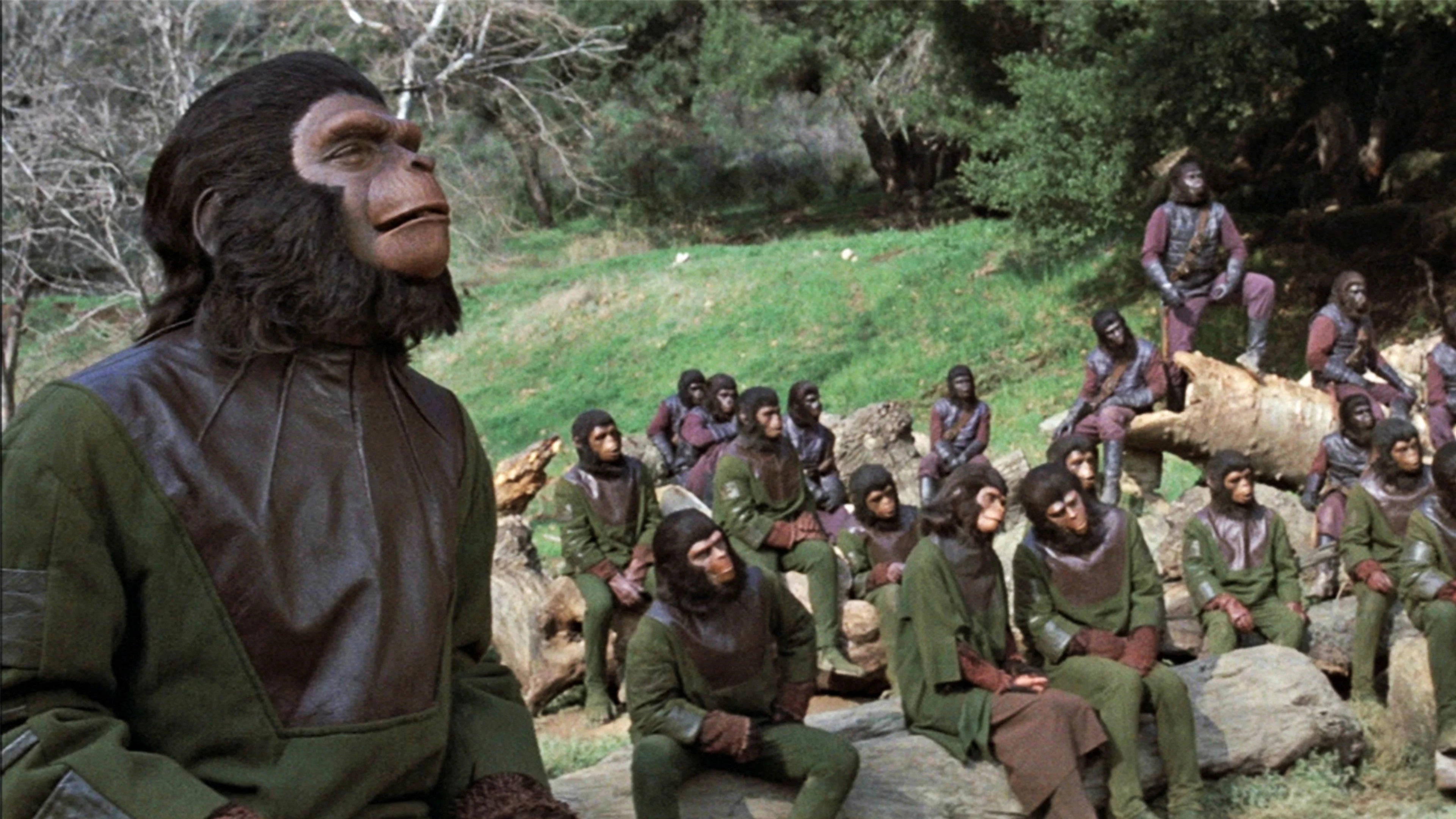 Perfect Battle for the Planet of the Apes (1973) Man Cave wall filler - Popcorn Poster Gallery