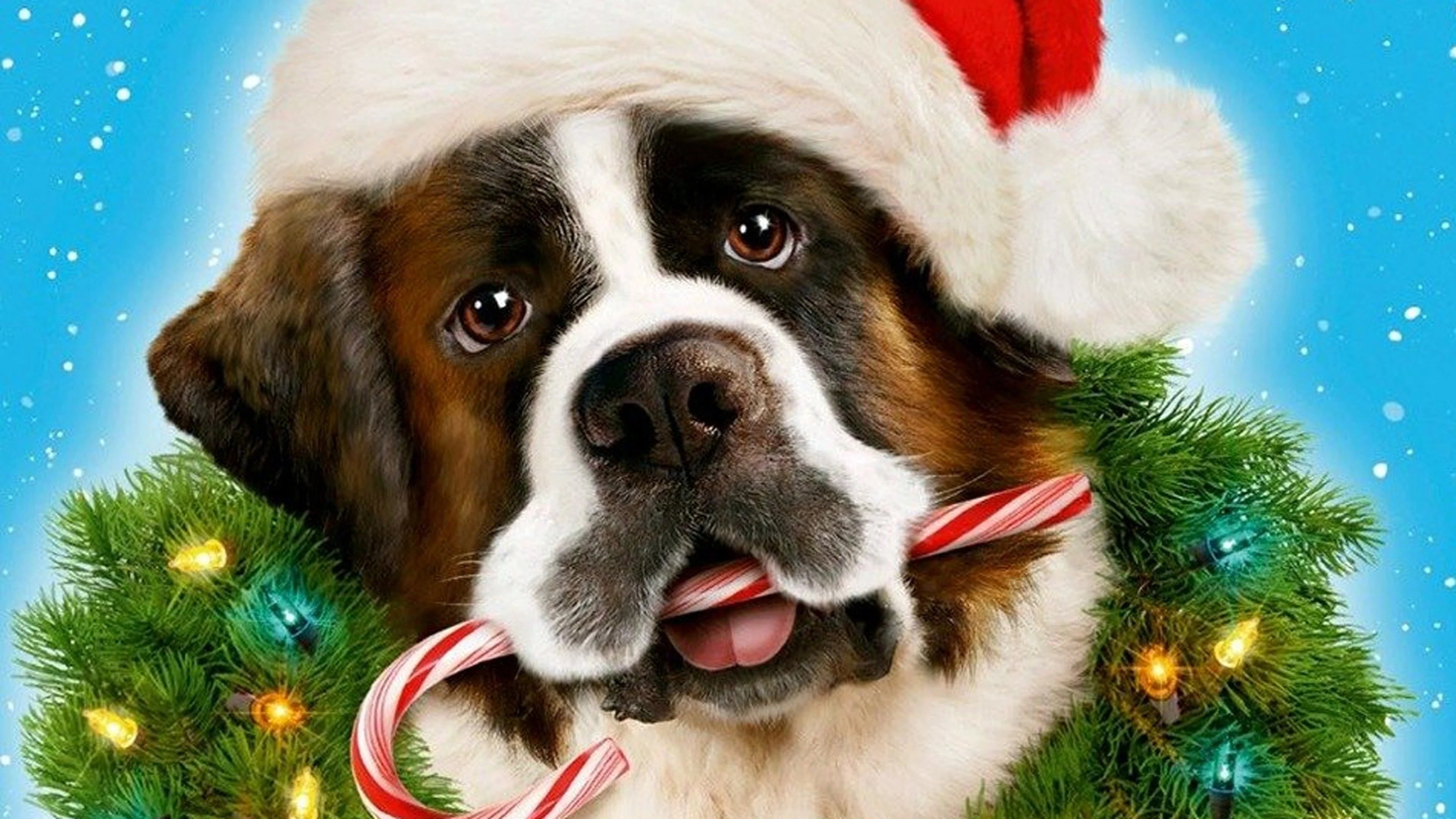 Perfect Beethoven's Christmas Adventure (2011) Man Cave wall filler - Popcorn Poster Gallery