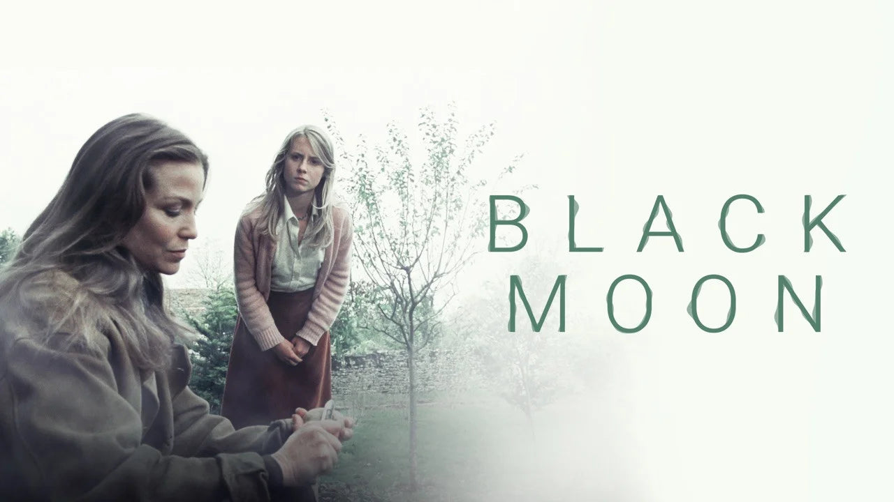Perfect Black Moon (1975) Man Cave wall filler - Popcorn Poster Gallery