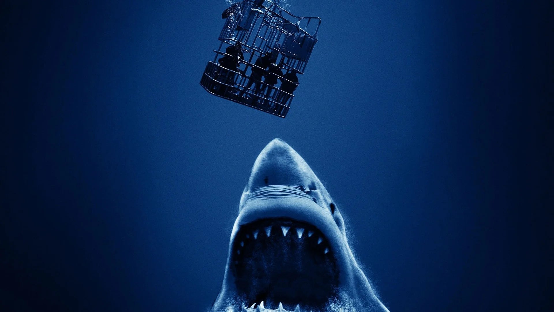 Perfect Cage Dive (2017) Man Cave wall filler - Popcorn Poster Gallery
