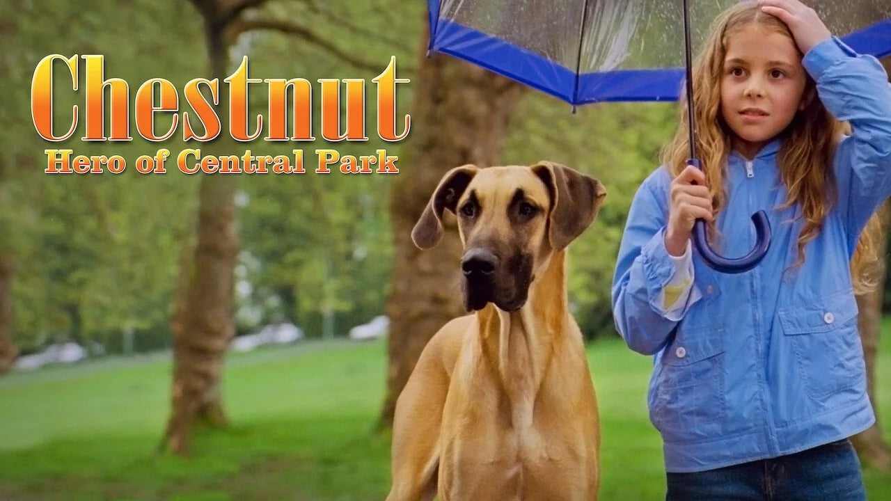 Perfect Chestnut Hero of Central Park (2004) Man Cave wall filler - Popcorn Poster Gallery
