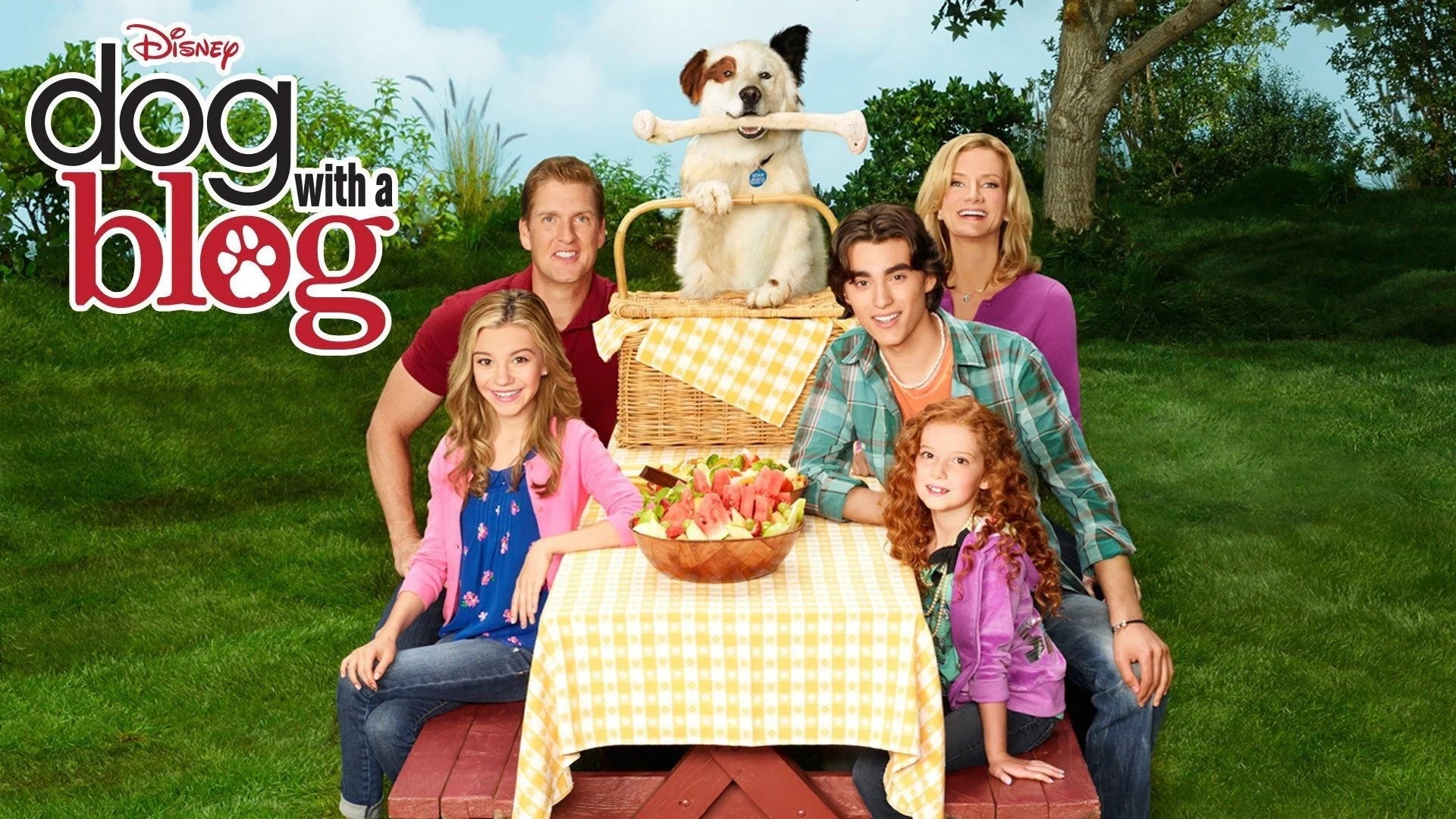 Perfect Dog with a Blog (2012) Man Cave wall filler - Popcorn Poster Gallery