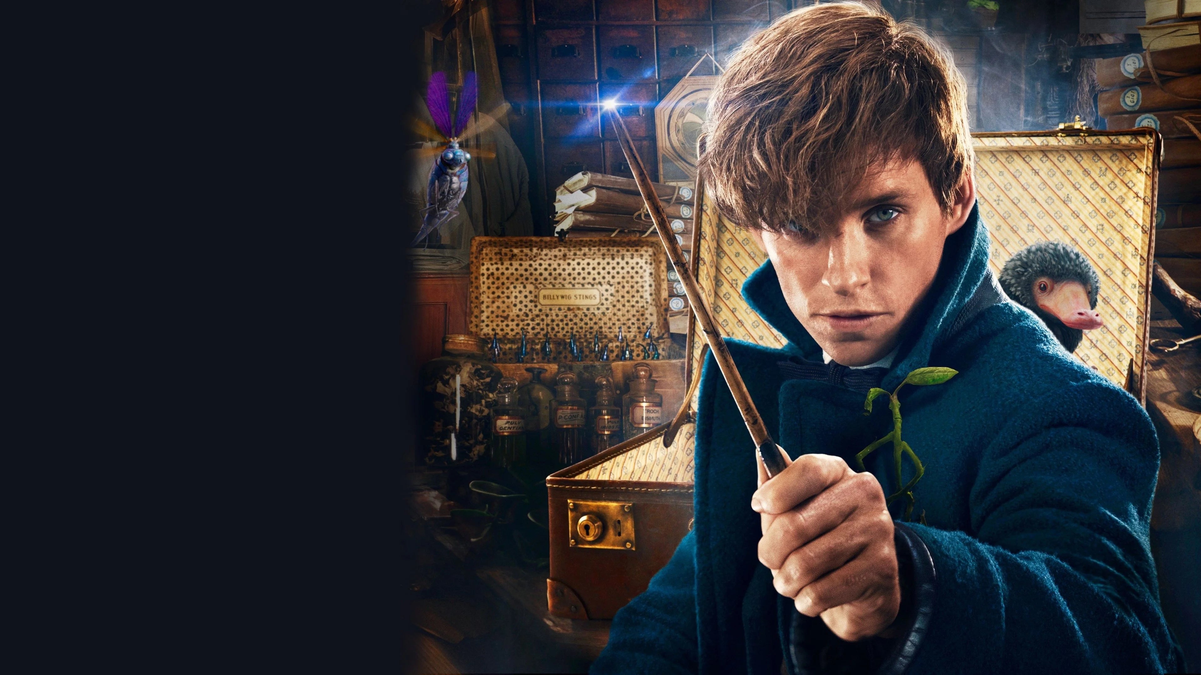 Perfect Fantastic Beasts and Where to Find Them (2016) Man Cave wall filler - Popcorn Poster Gallery
