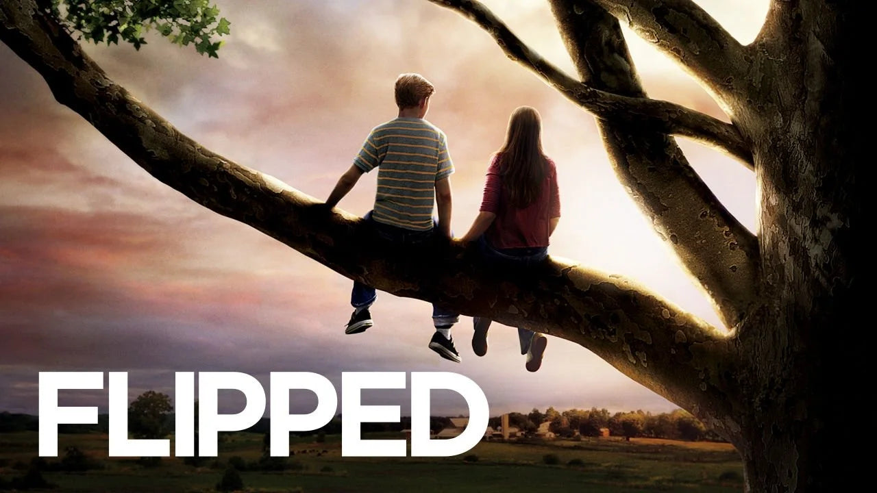 Perfect Flipped (2010) Man Cave wall filler - Popcorn Poster Gallery