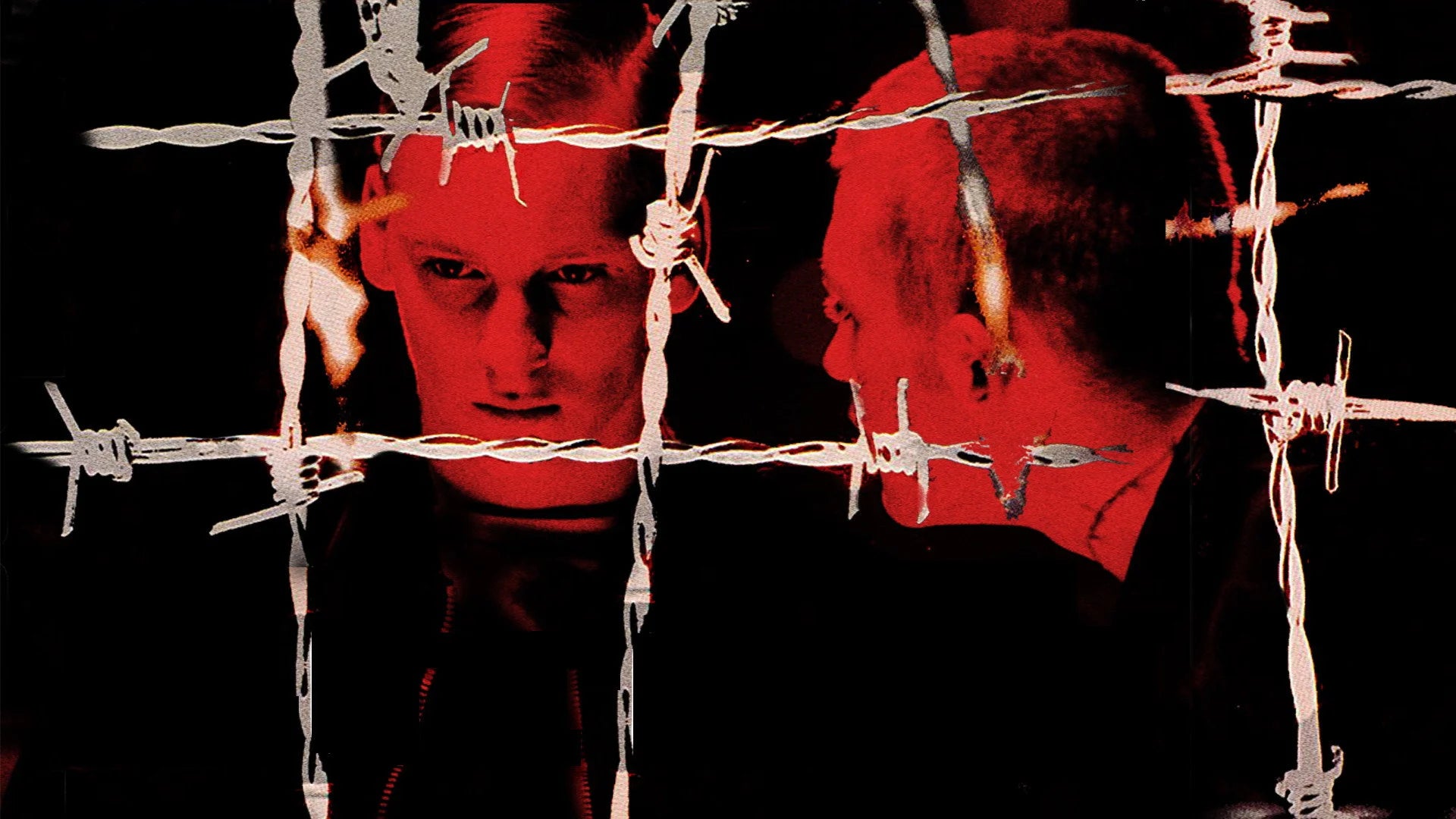 Perfect Führer Ex (2002) Man Cave wall filler - Popcorn Poster Gallery