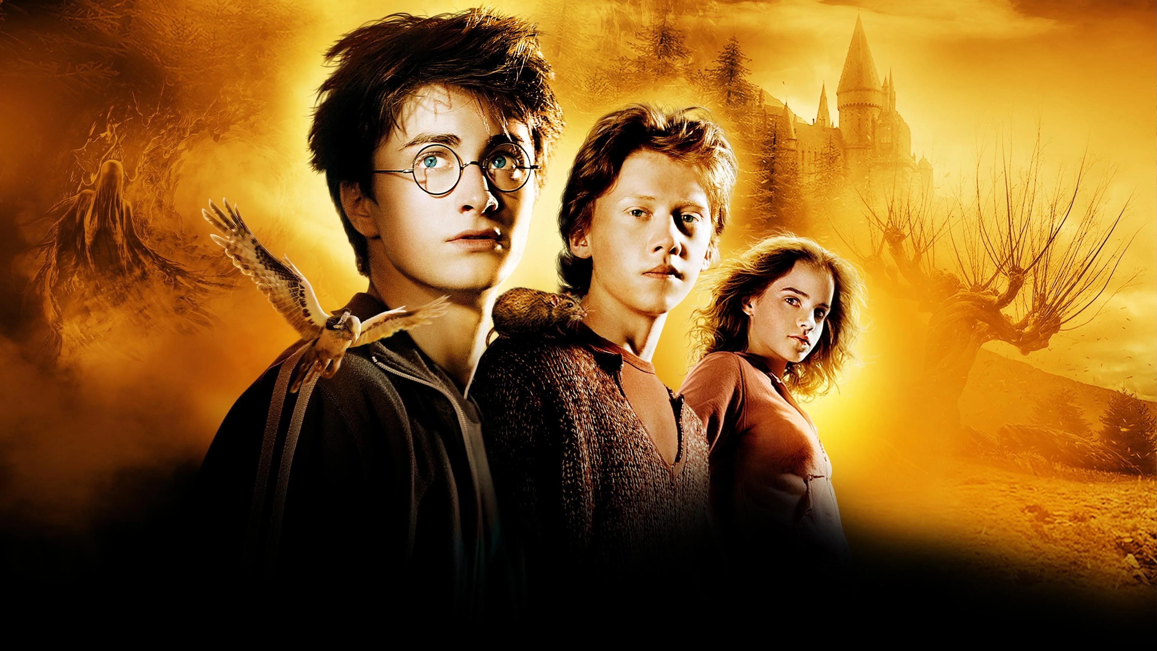 Perfect Harry Potter and the Prisoner of Azkaban (2004) Man Cave wall filler - Popcorn Poster Gallery