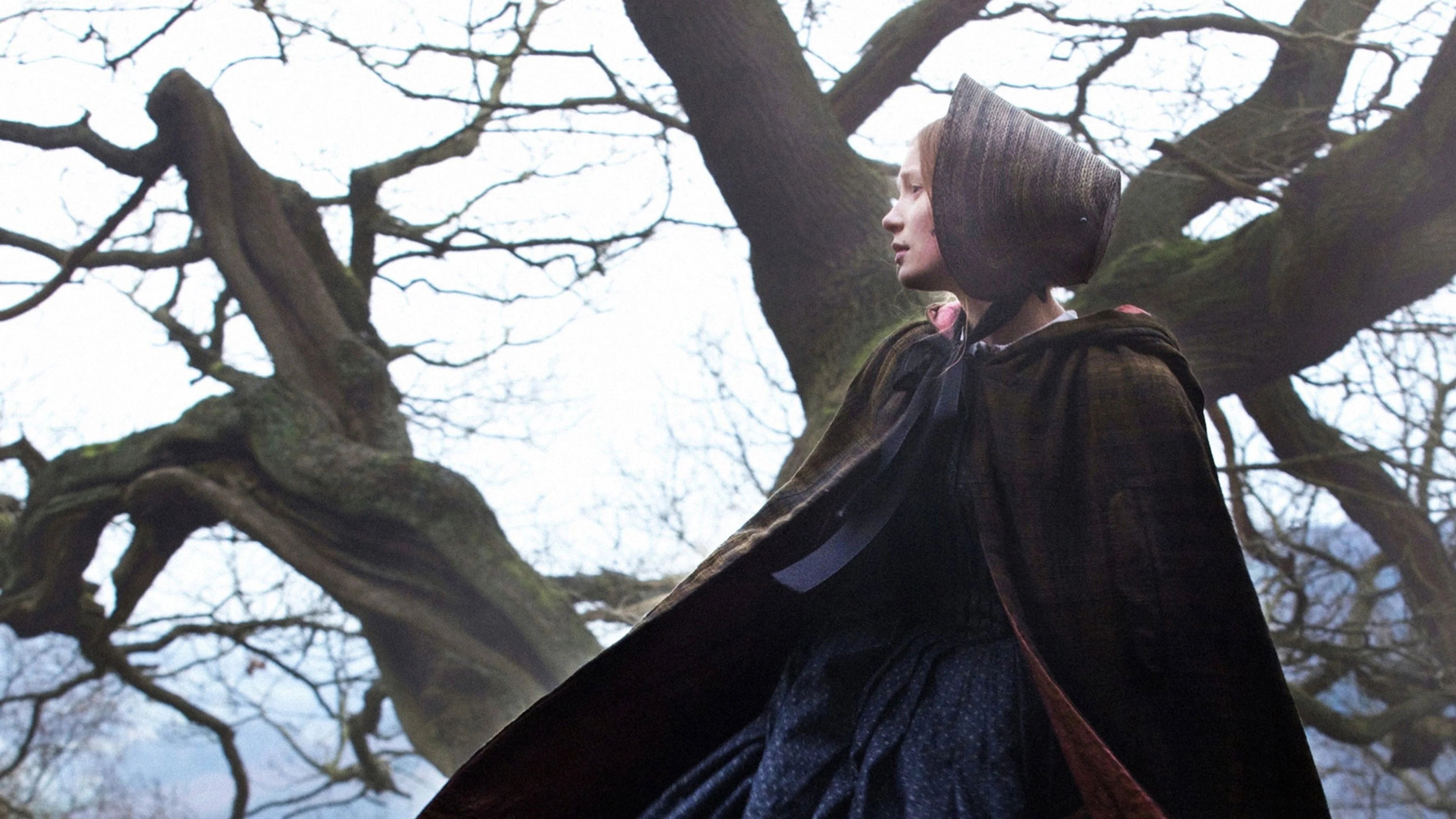 Perfect Jane Eyre (2011) Man Cave wall filler - Popcorn Poster Gallery