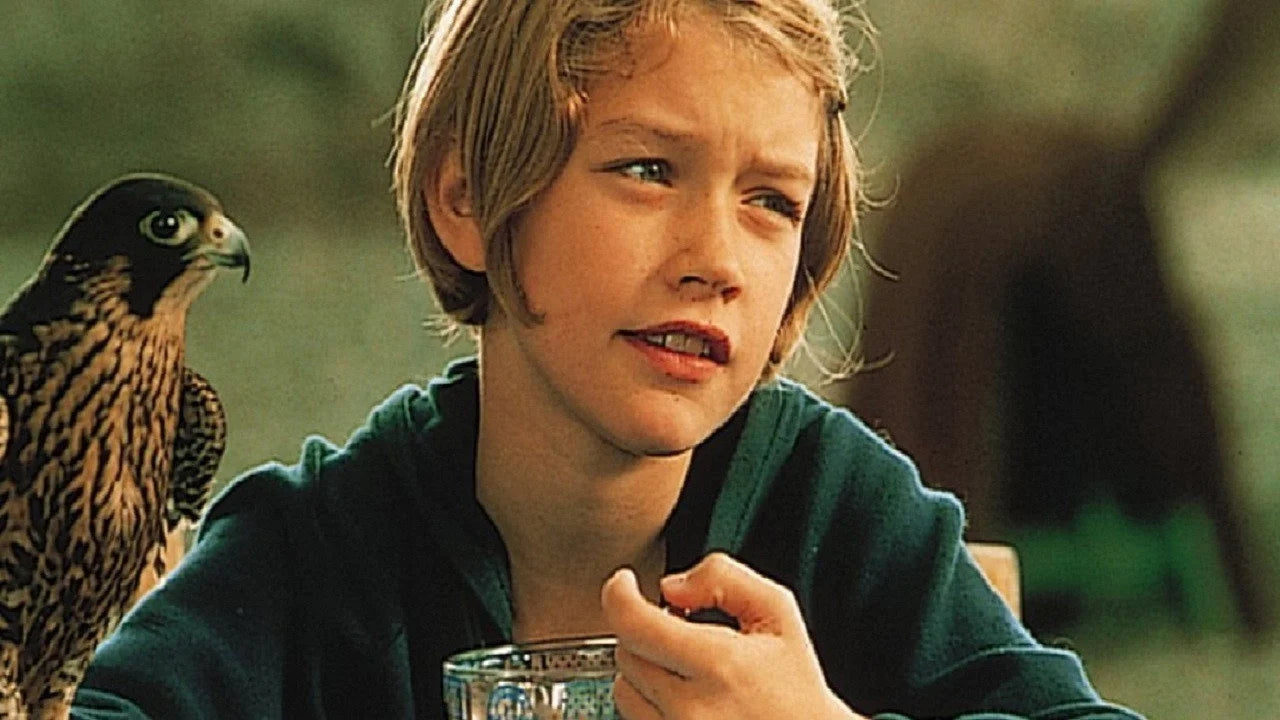 Perfect Katja's Adventure (1999) Man Cave wall filler - Popcorn Poster Gallery