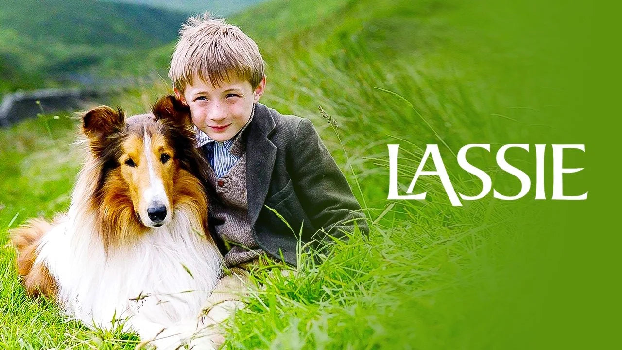 Perfect Lassie (2005) Man Cave wall filler - Popcorn Poster Gallery