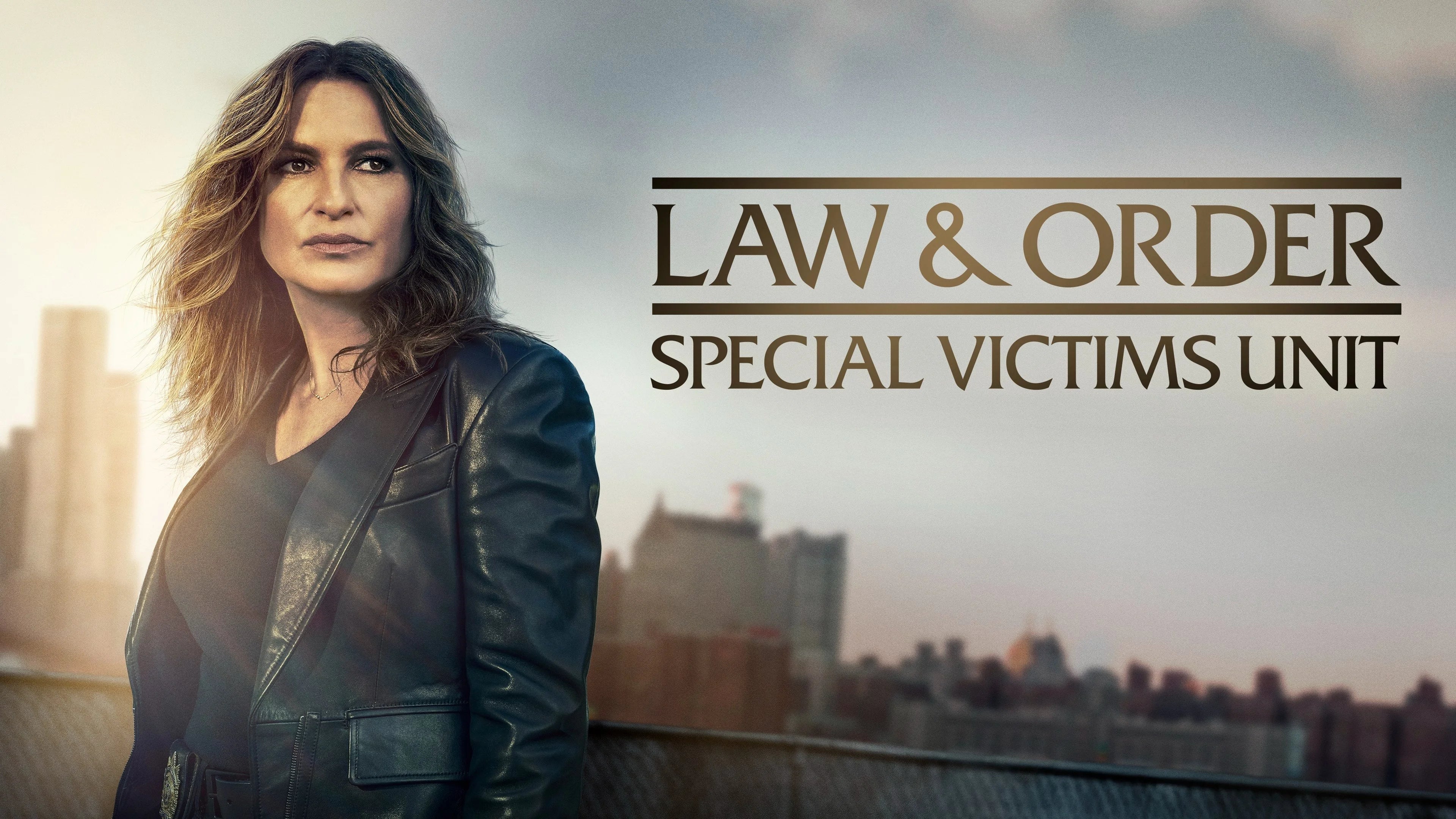 Perfect Law & Order Special Victims Unit (1999) Man Cave wall filler - Popcorn Poster Gallery