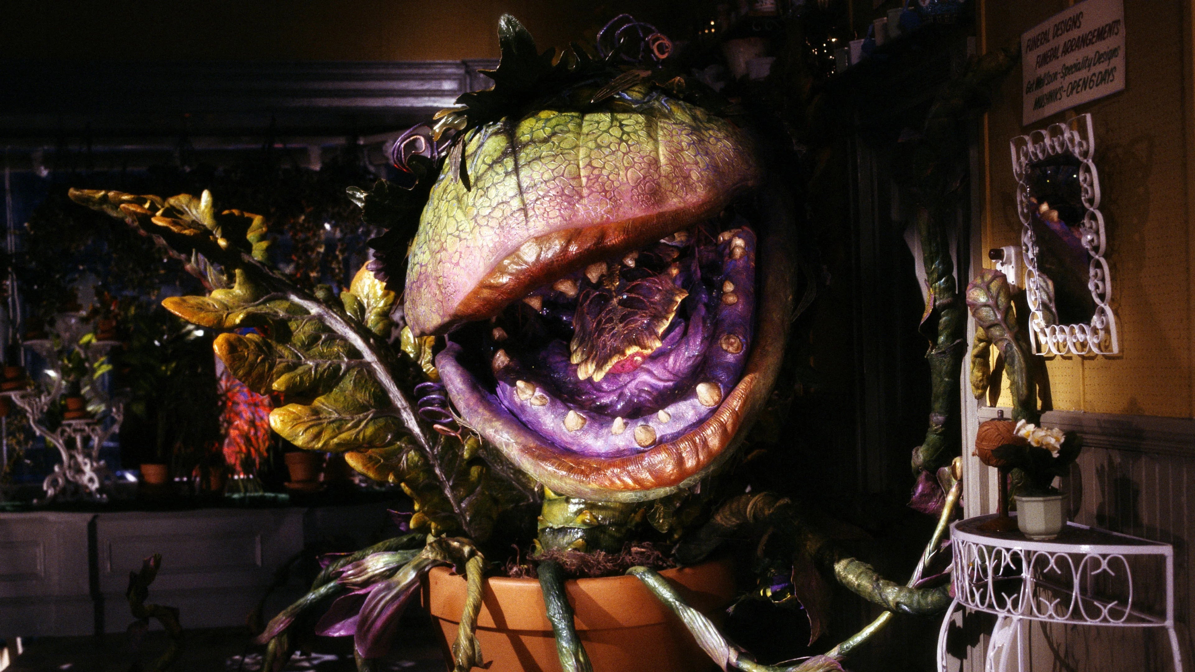 Perfect Little Shop of Horrors (1986) Man Cave wall filler - Popcorn Poster Gallery