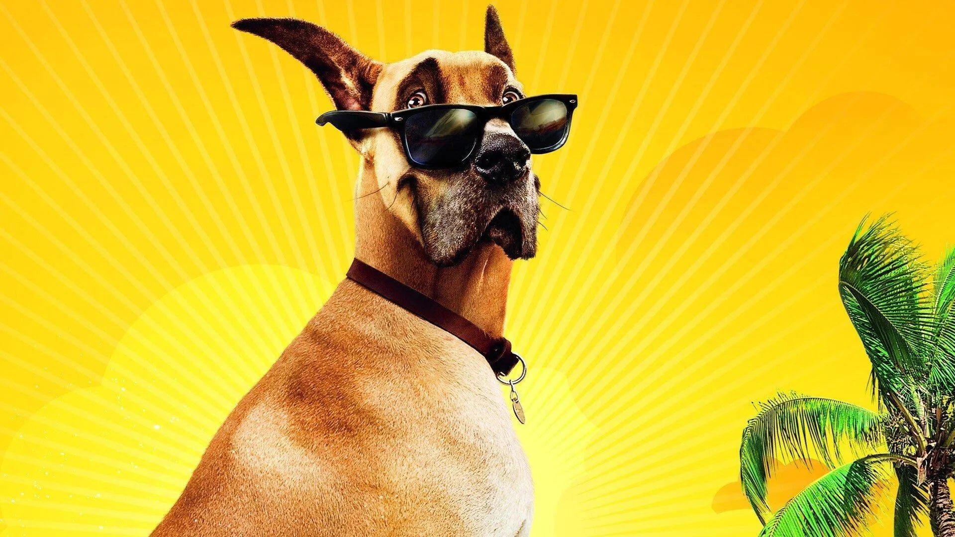 Perfect Marmaduke (2010) Man Cave wall filler - Popcorn Poster Gallery