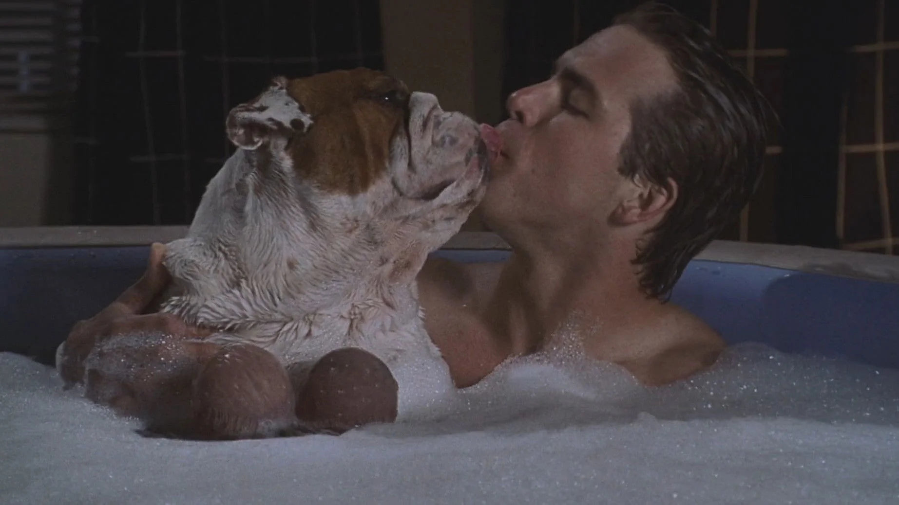 Perfect National Lampoon's Van Wilder (2002) Man Cave wall filler - Popcorn Poster Gallery
