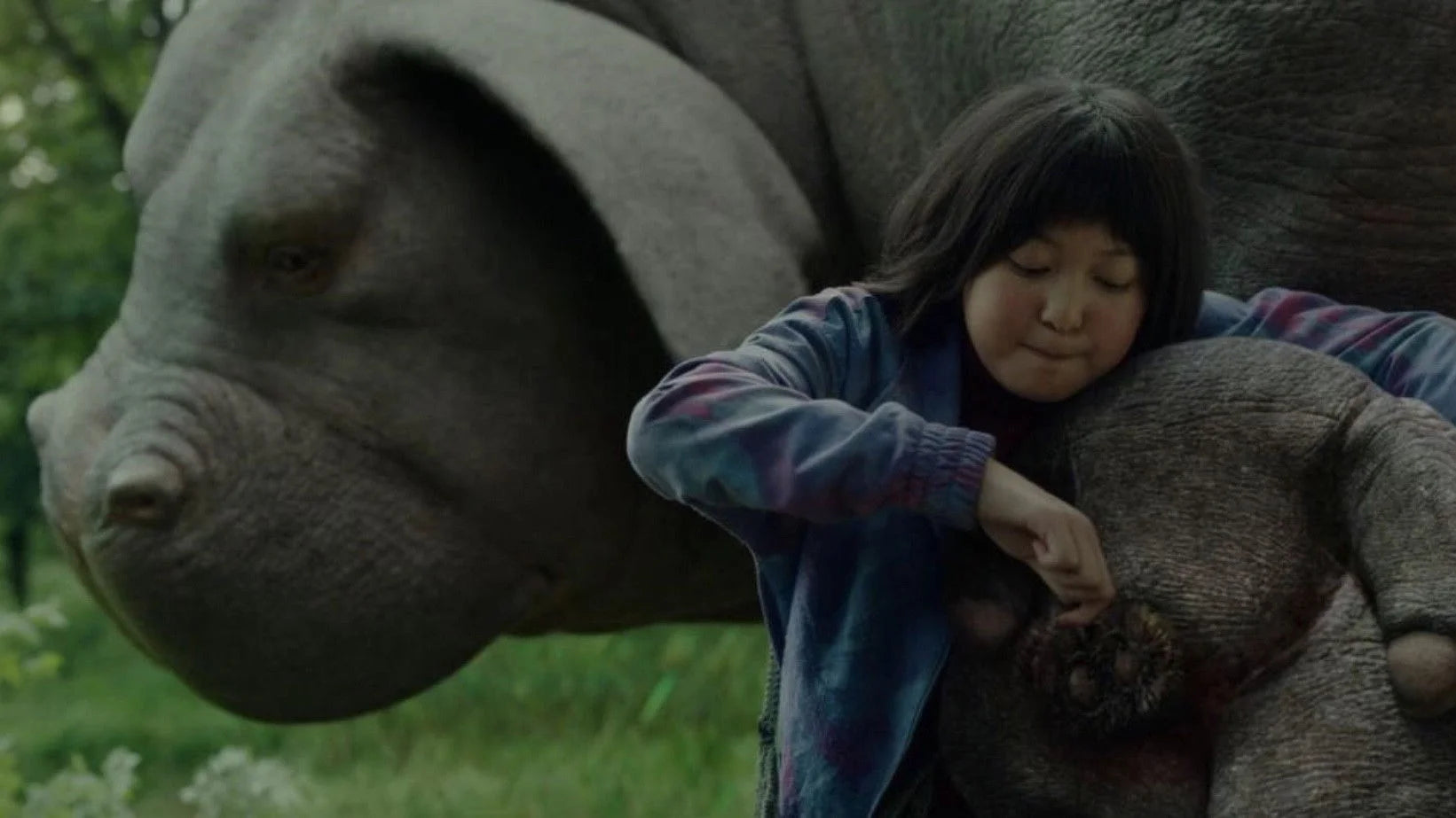Perfect Okja (2017) Man Cave wall filler - Popcorn Poster Gallery