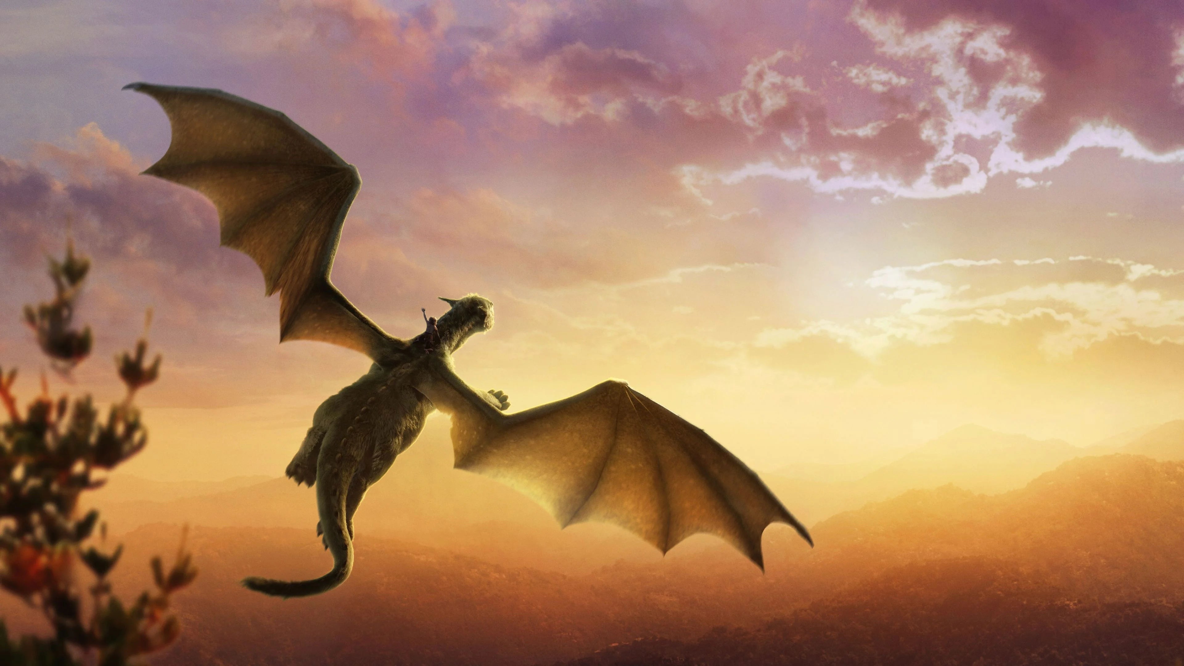 Perfect Pete's Dragon (2016) Man Cave wall filler - Popcorn Poster Gallery