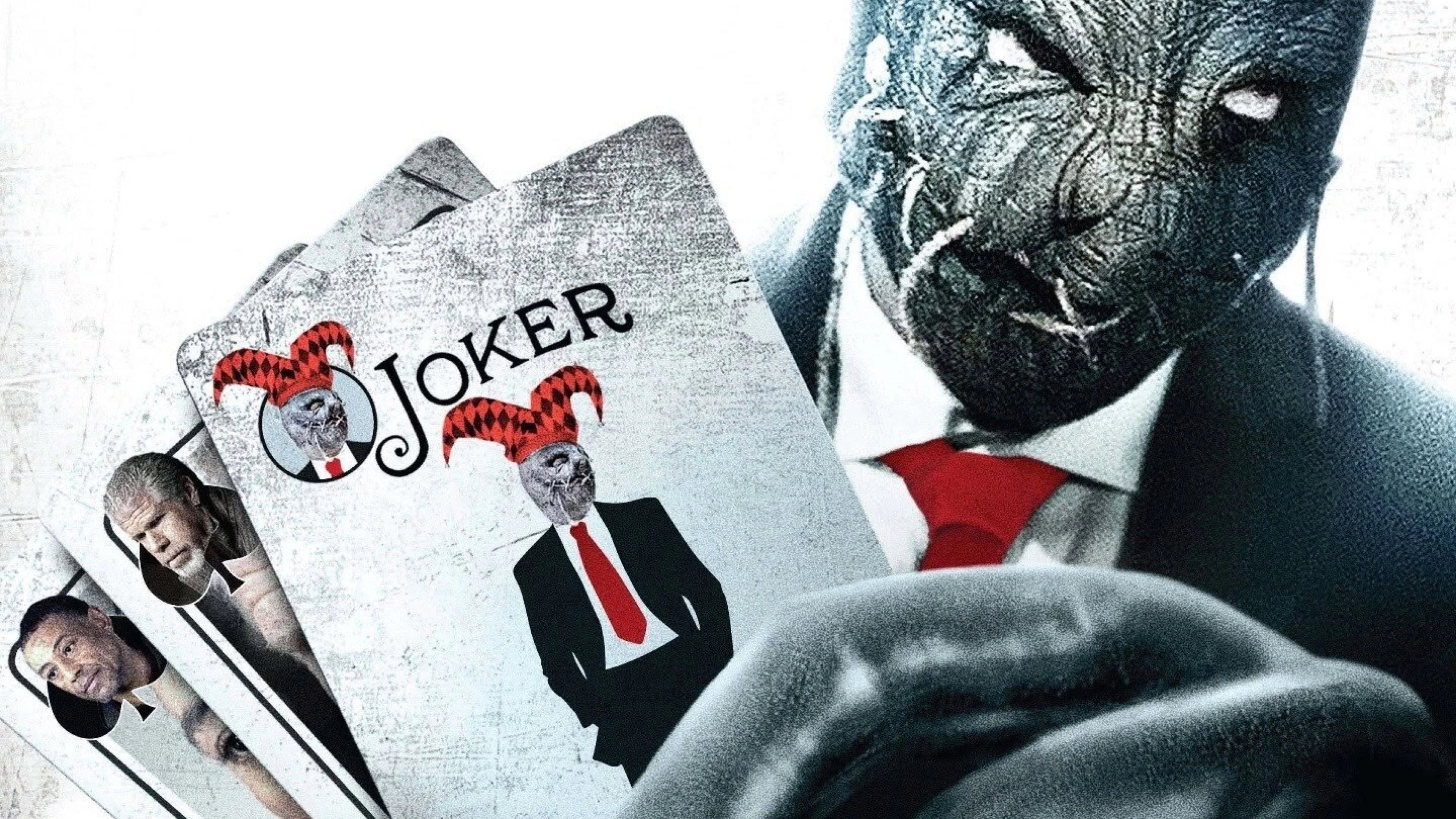 Perfect Poker Night (2014) Man Cave wall filler - Popcorn Poster Gallery