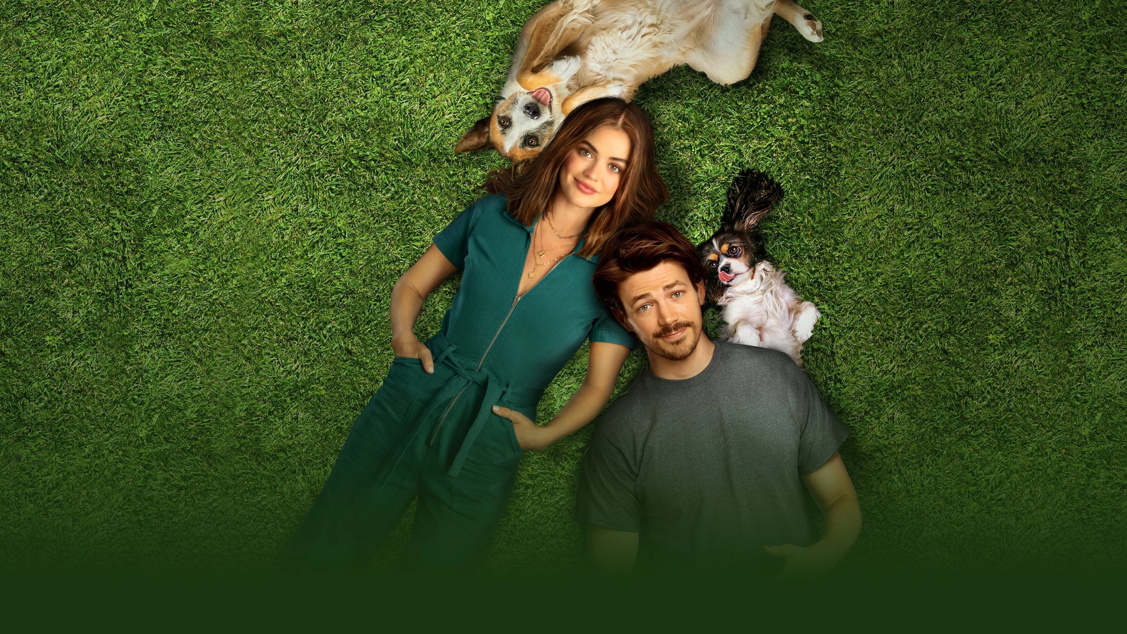 Perfect Puppy Love (2023) Man Cave wall filler - Popcorn Poster Gallery