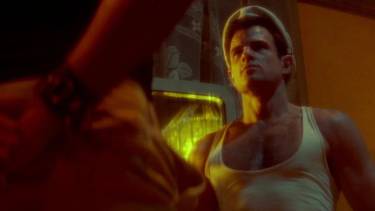 Perfect Querelle (1982) Man Cave wall filler - Popcorn Poster Gallery