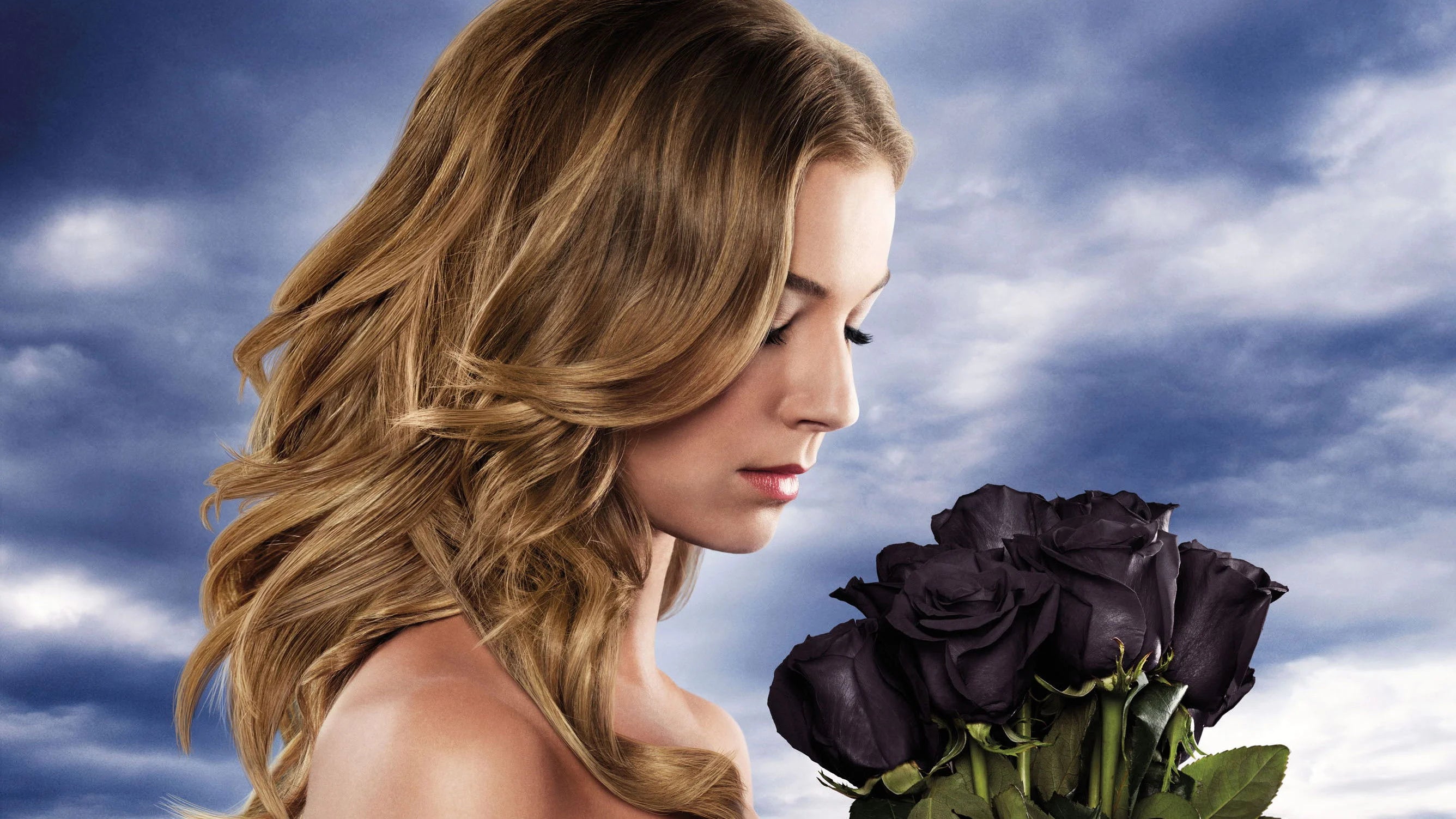 Perfect Revenge (2011) Man Cave wall filler - Popcorn Poster Gallery